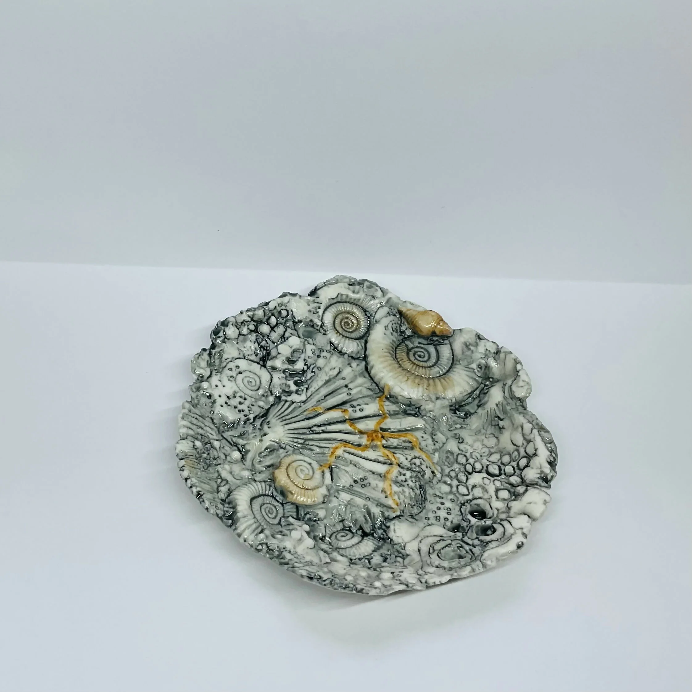 Fossil Dish - Image 3