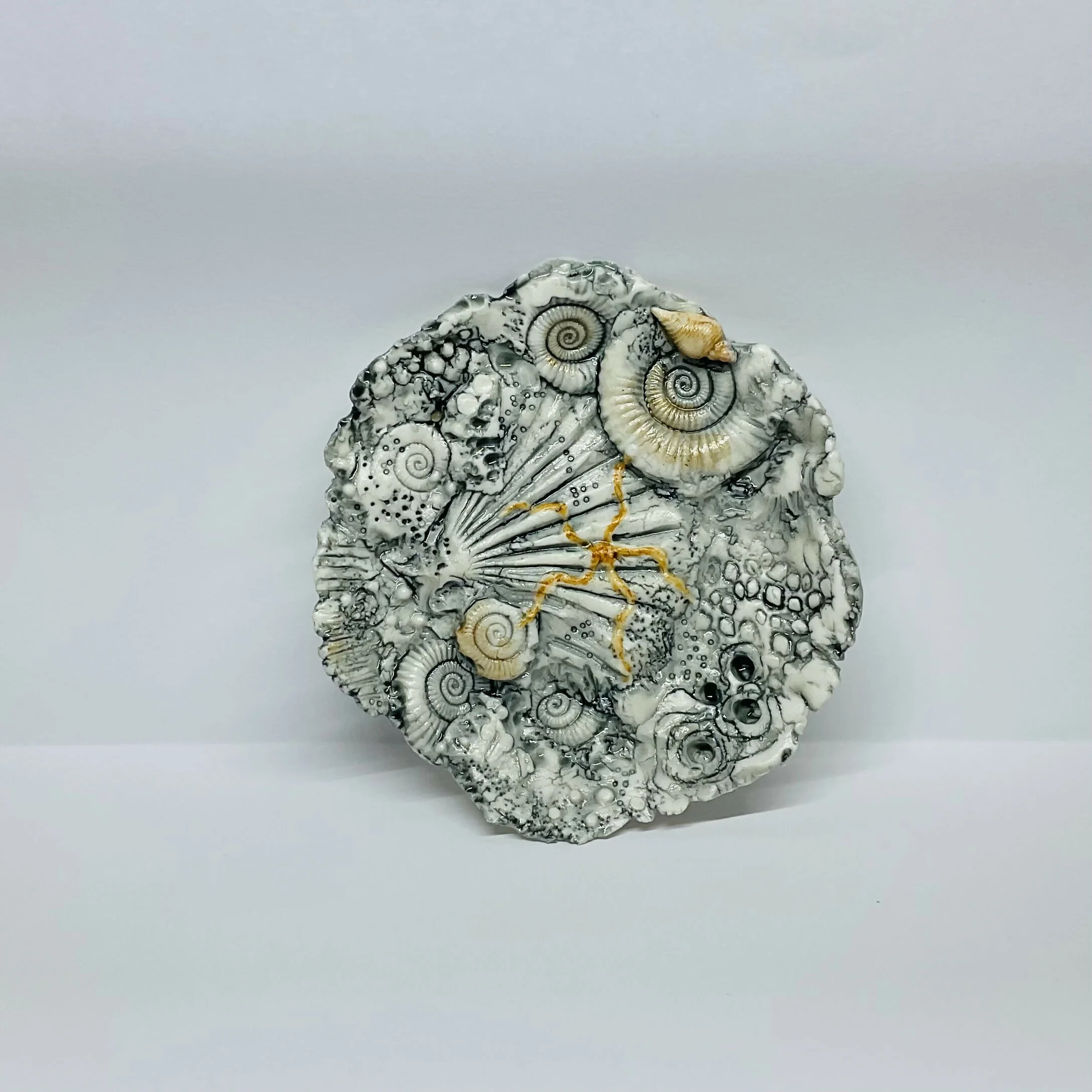 Fossil Dish - Image 4