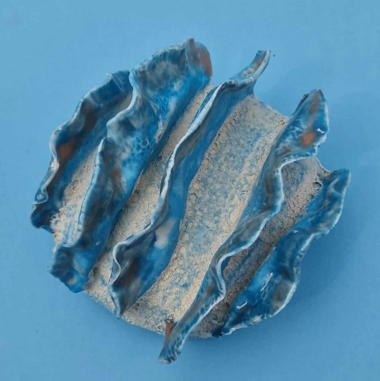 FOX CORAL 4 - Image 3