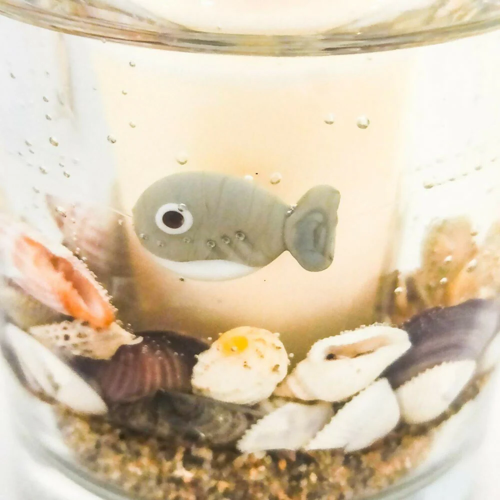 Friendly Shark Botanical Candle - Image 4
