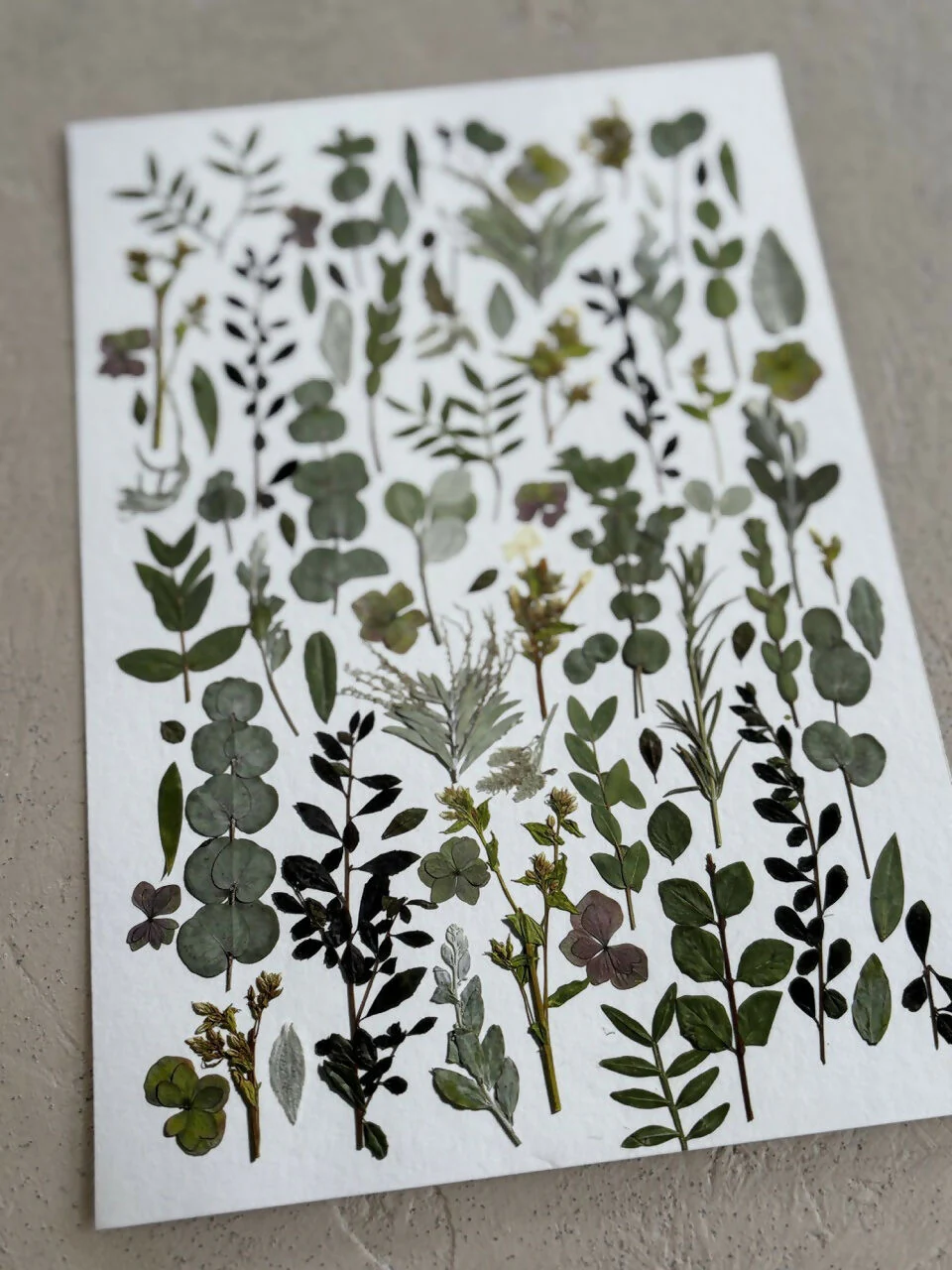 Green Leaves Giclee Print A5 - Image 3