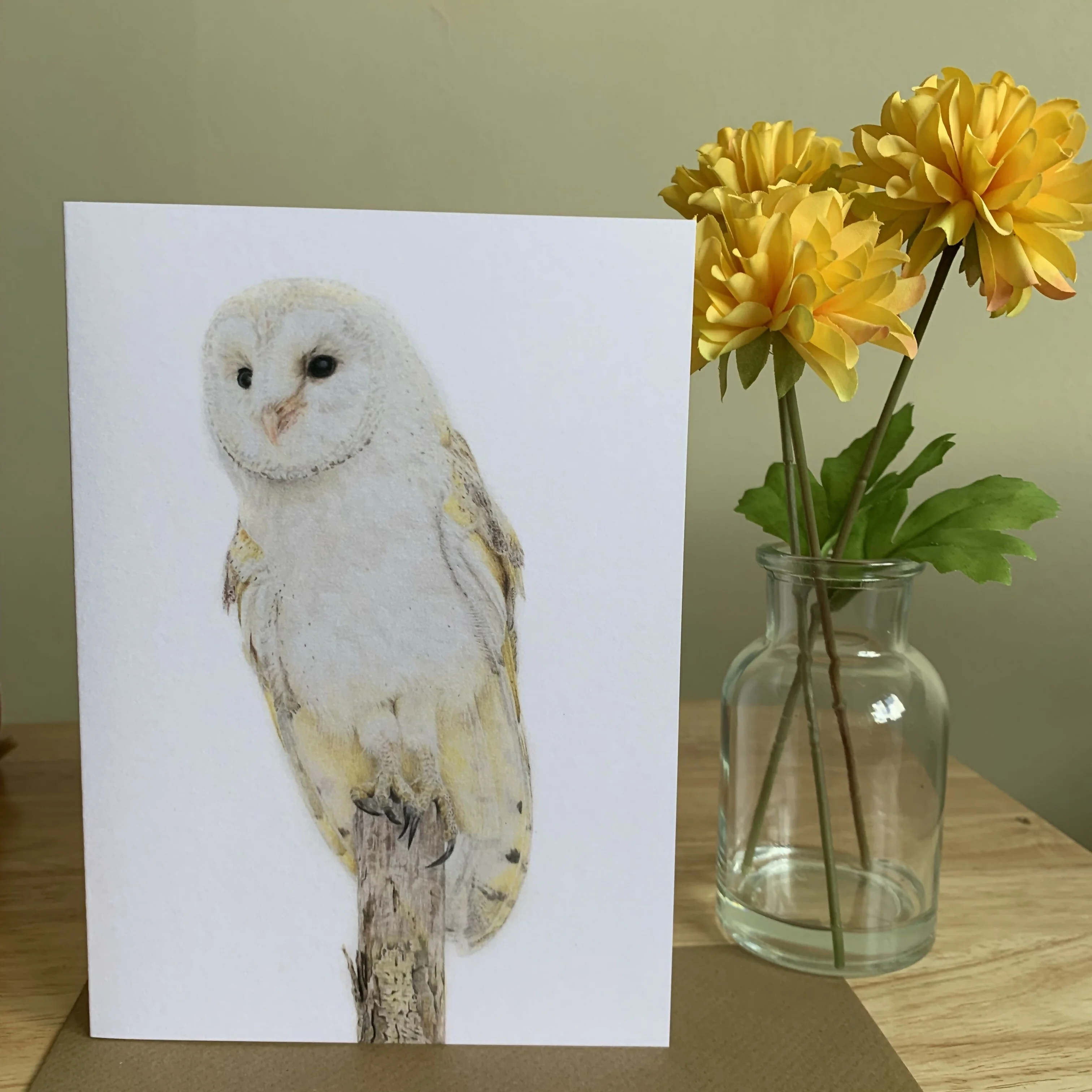 Greeting Card of a Barn Owl. Blank Inside