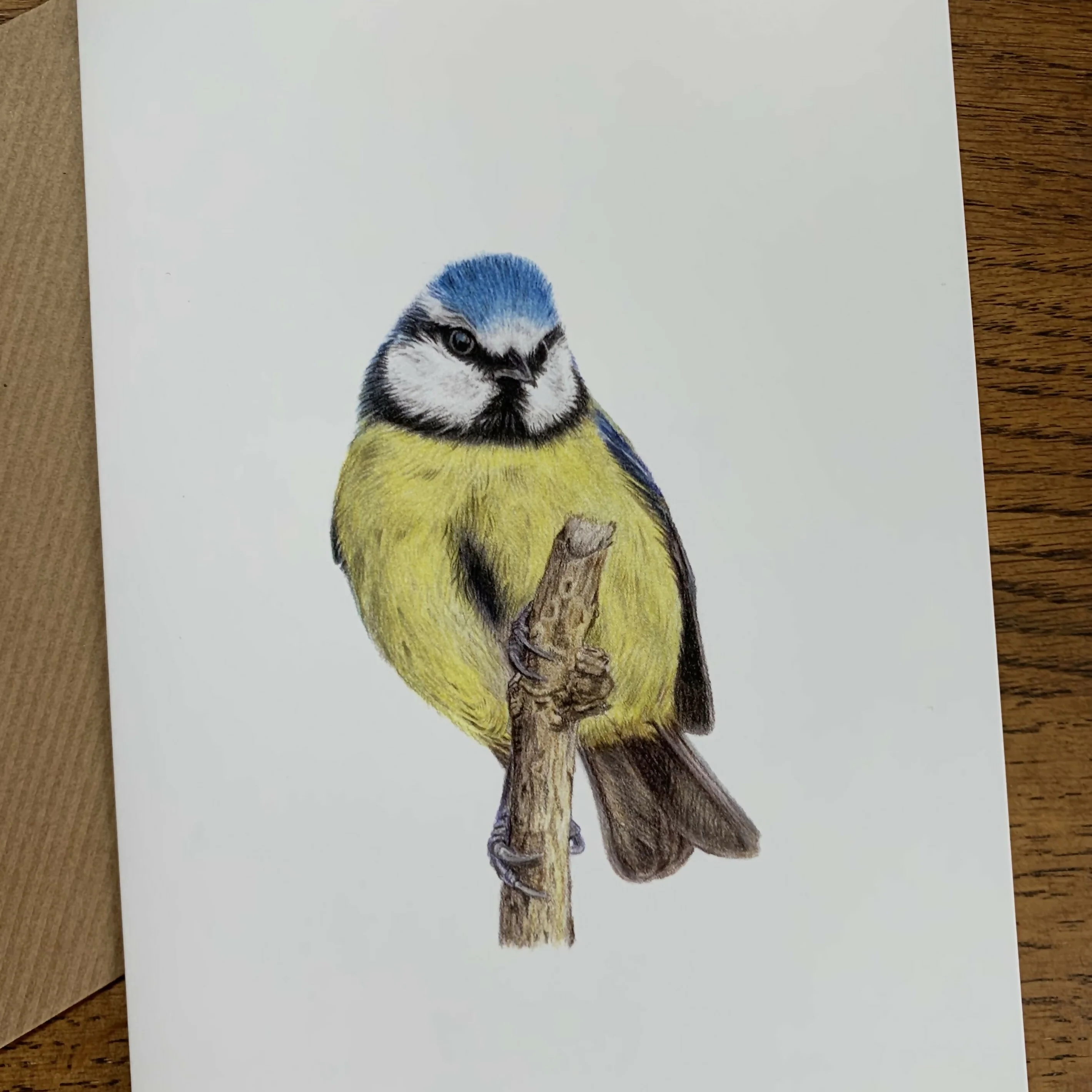 Greeting Card of a Blue Tit. Blank Inside - Image 3