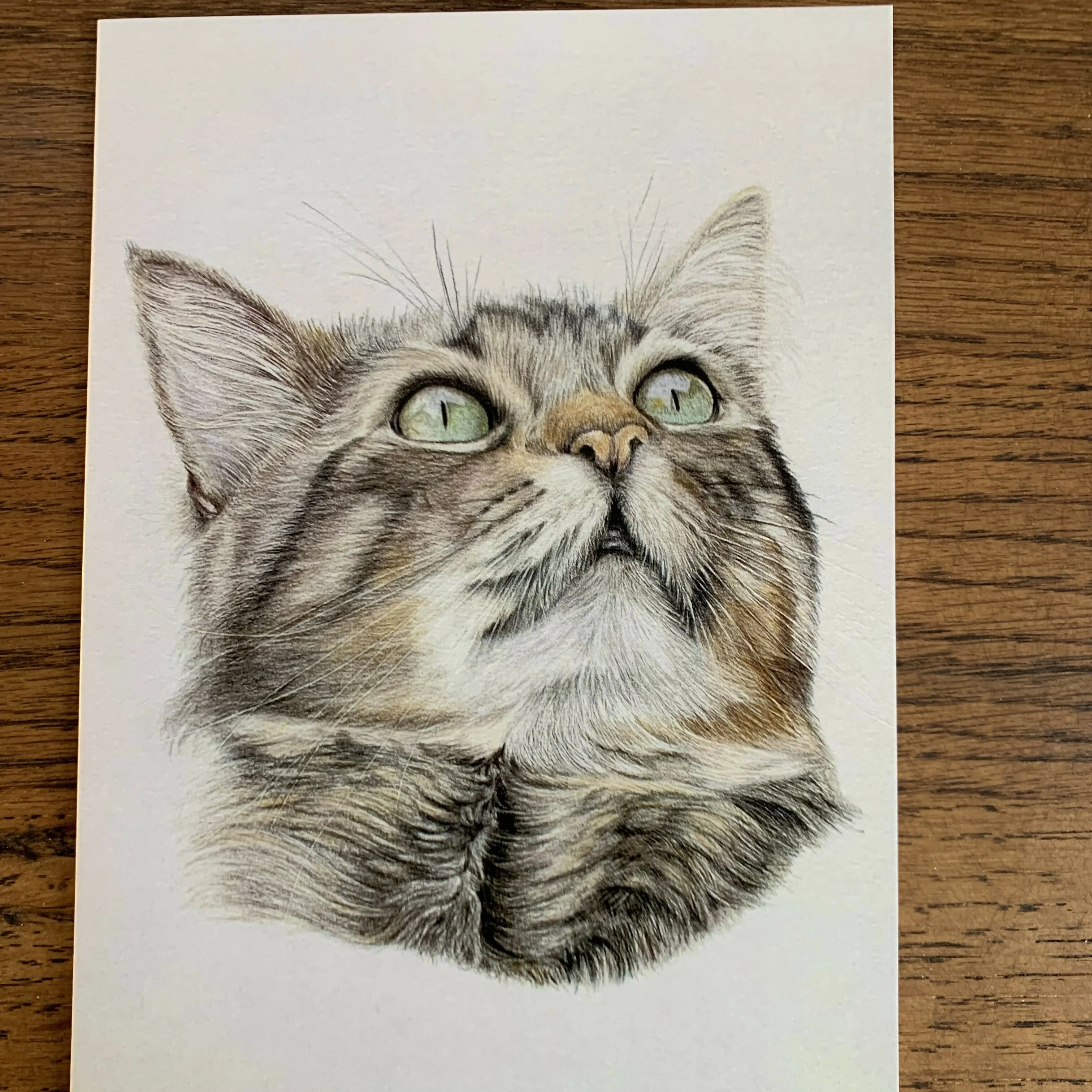 Greeting Card of a Cat. Blank Inside - Image 2