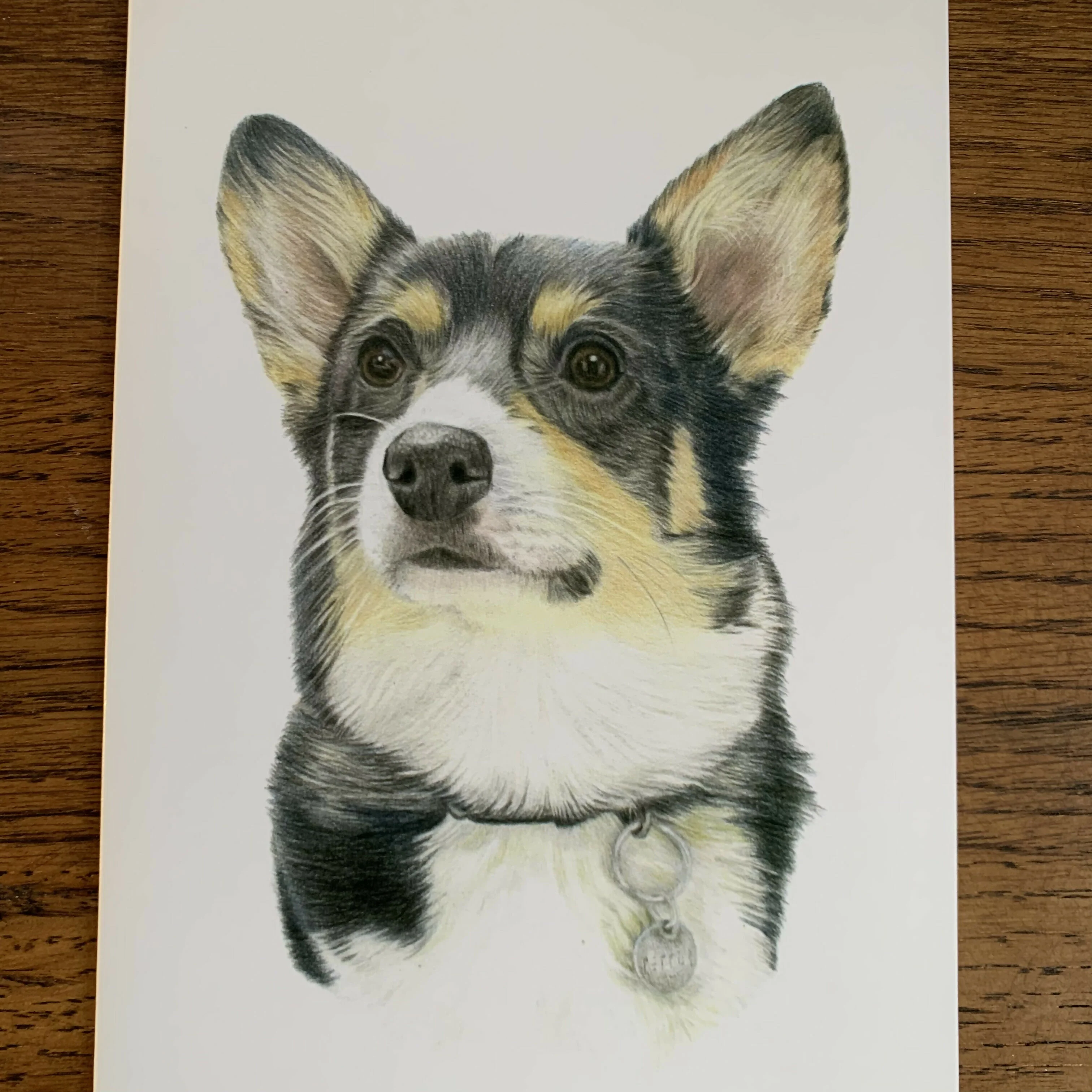 Greeting Card of a Corgi. Blank Inside - Image 2