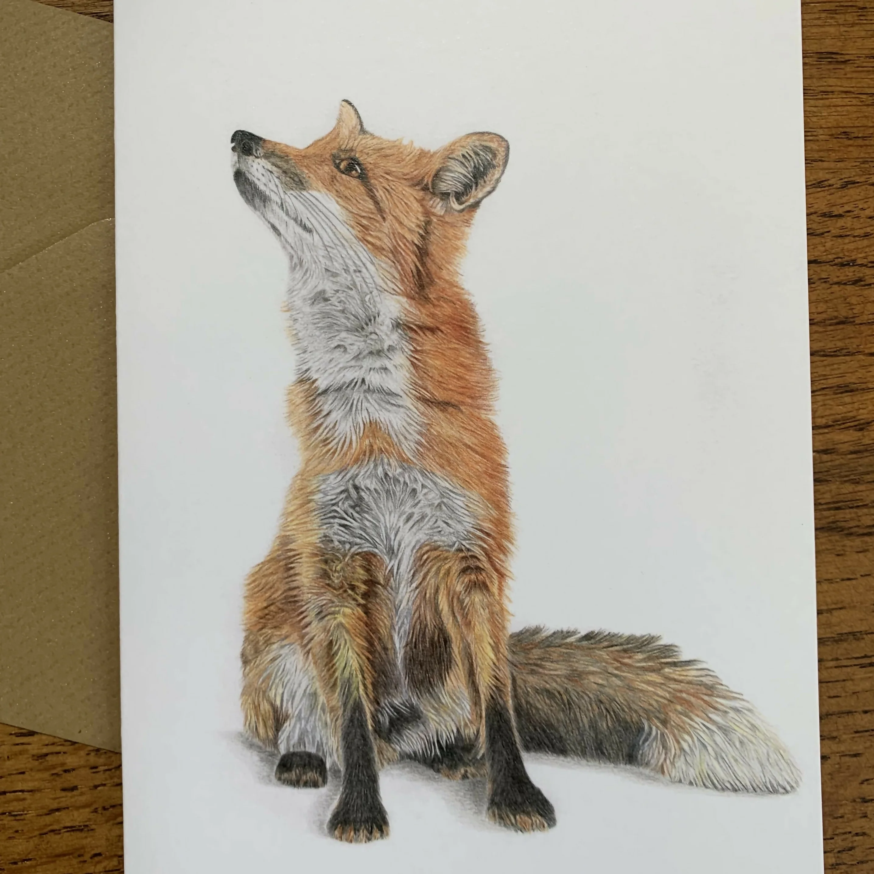 Greeting Card of a Fox. Blank Inside - Image 3