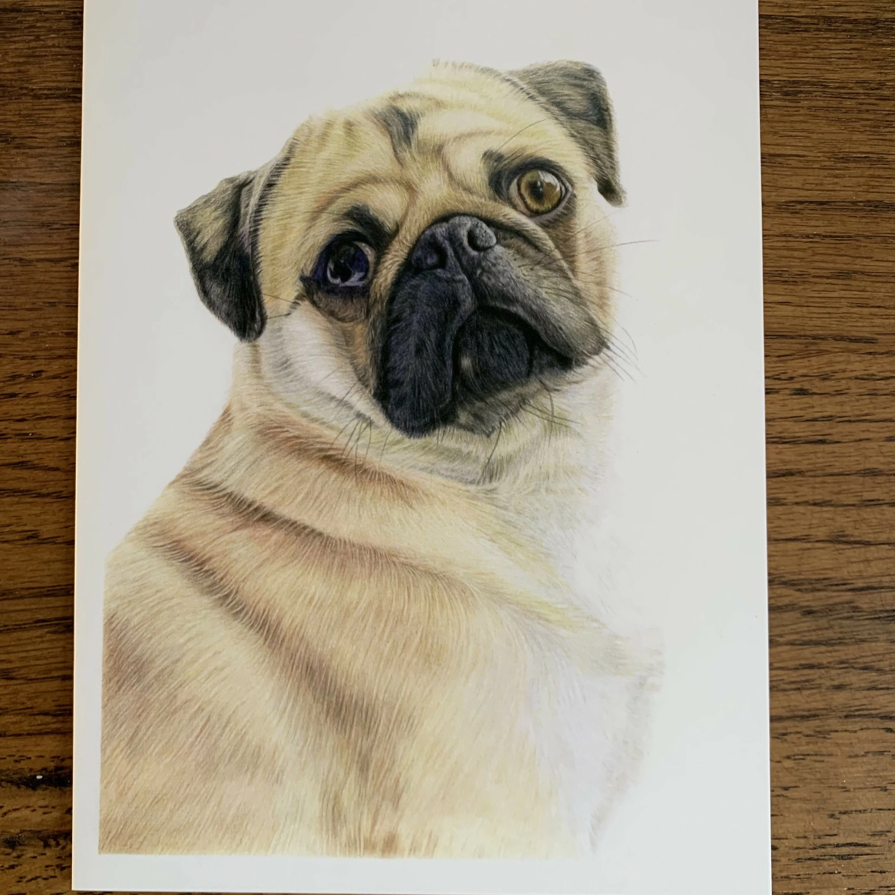 Greeting Card of a Pug 2. Blank Inside - Image 2