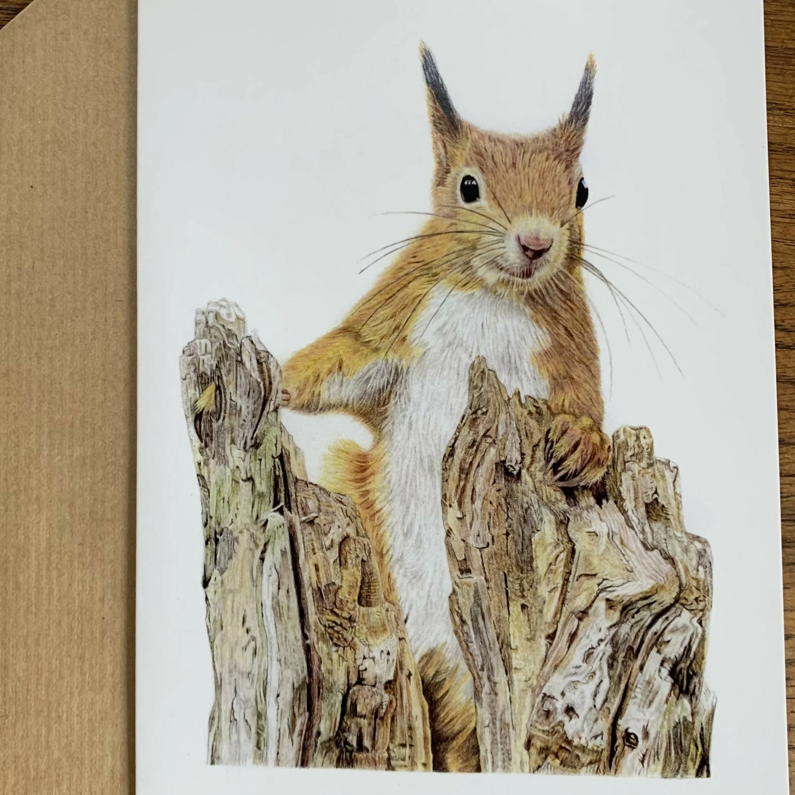Greeting Card Of a Red Squirrel. Blank Inside - Image 3