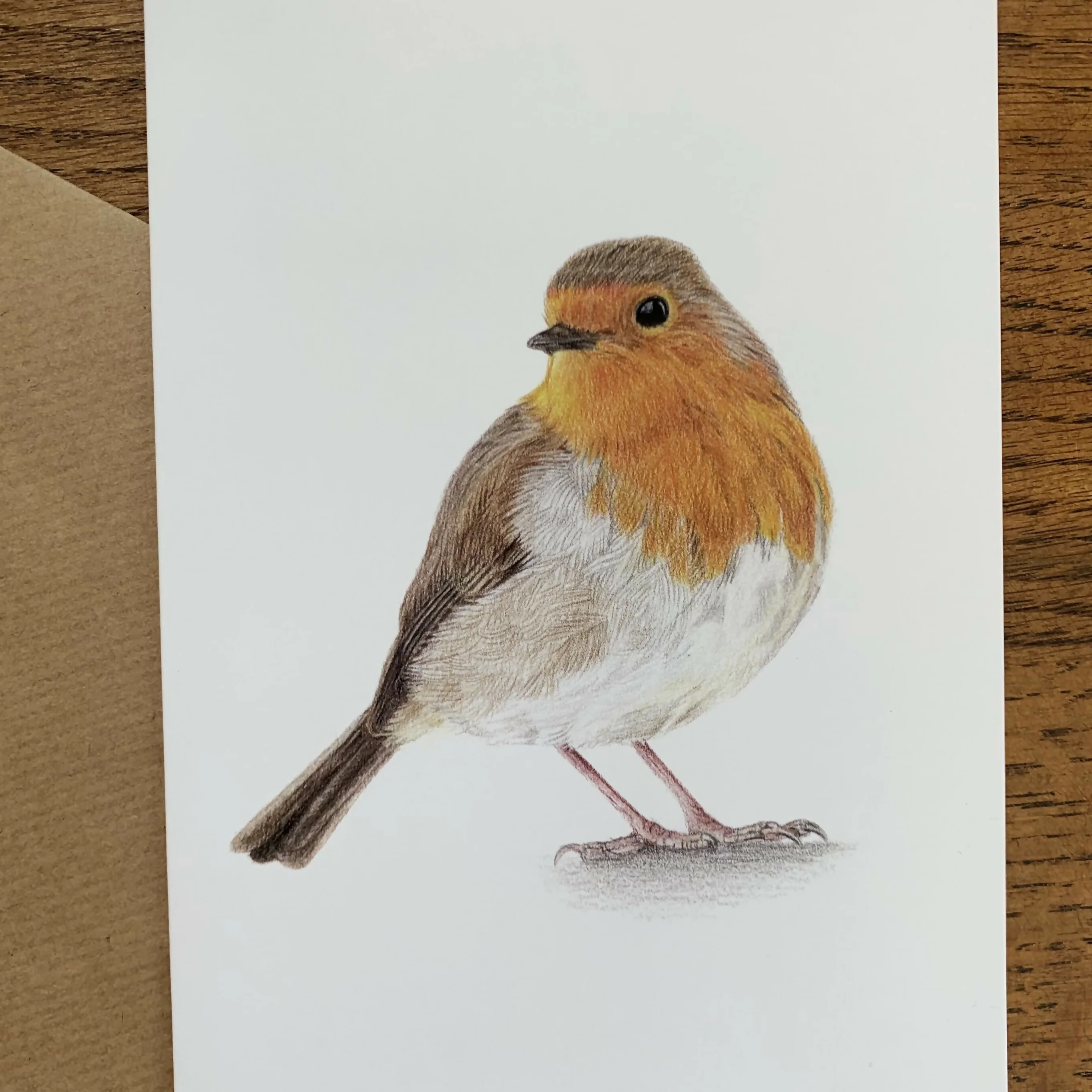 Greeting Card of a Robin. Blank Inside - Image 2