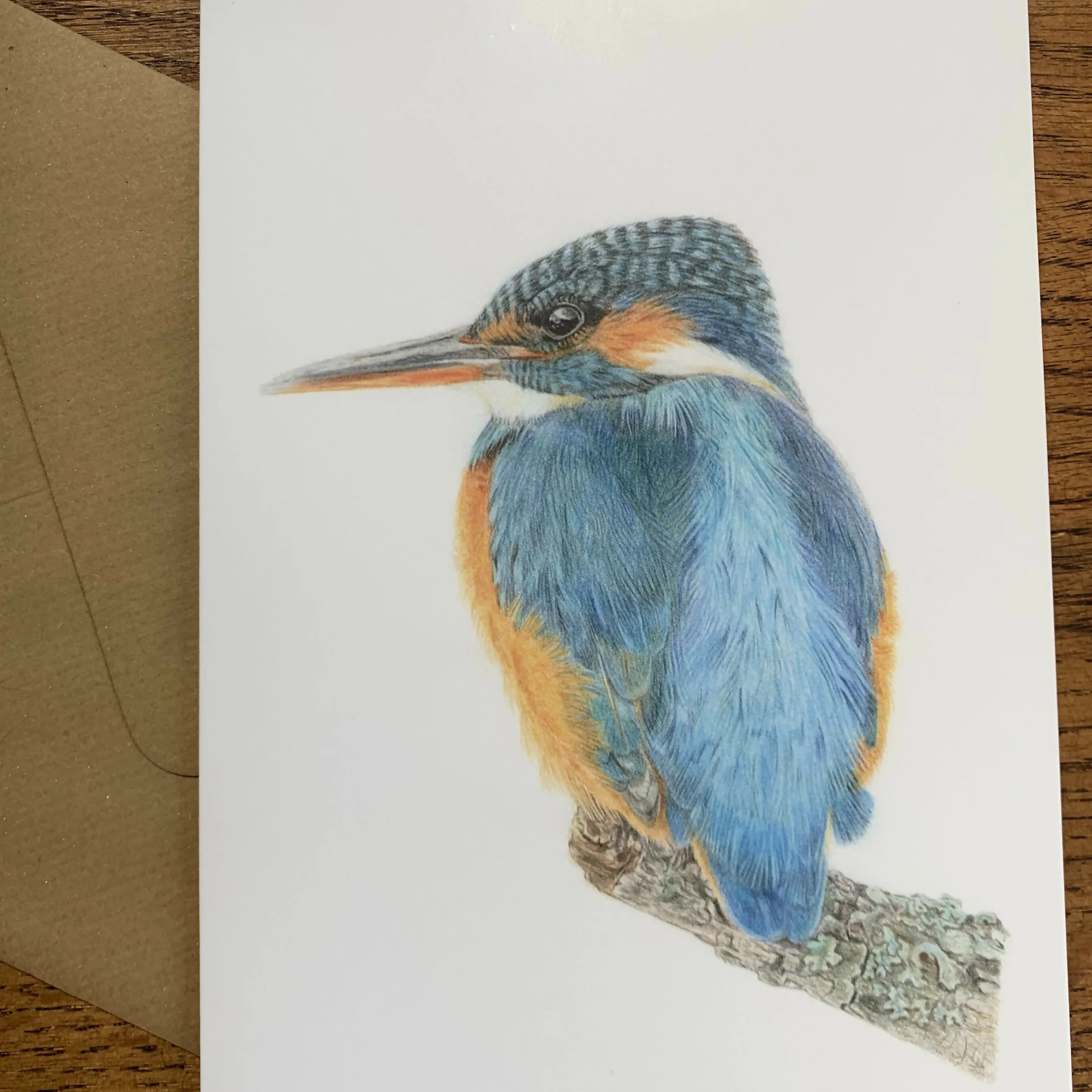 Greeting Card of Kingfisher. Blank Inside - Image 3