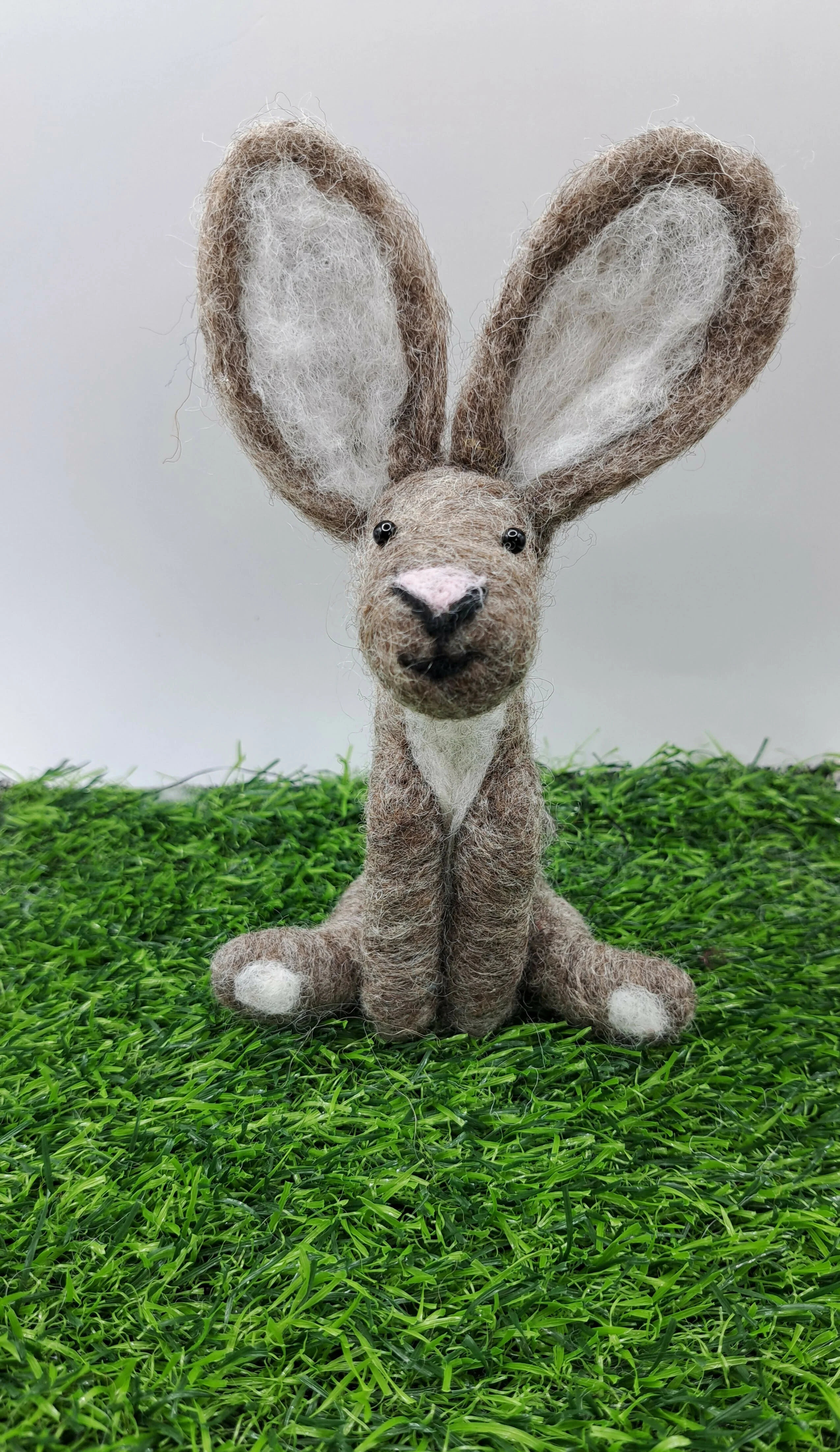 Junior Hare