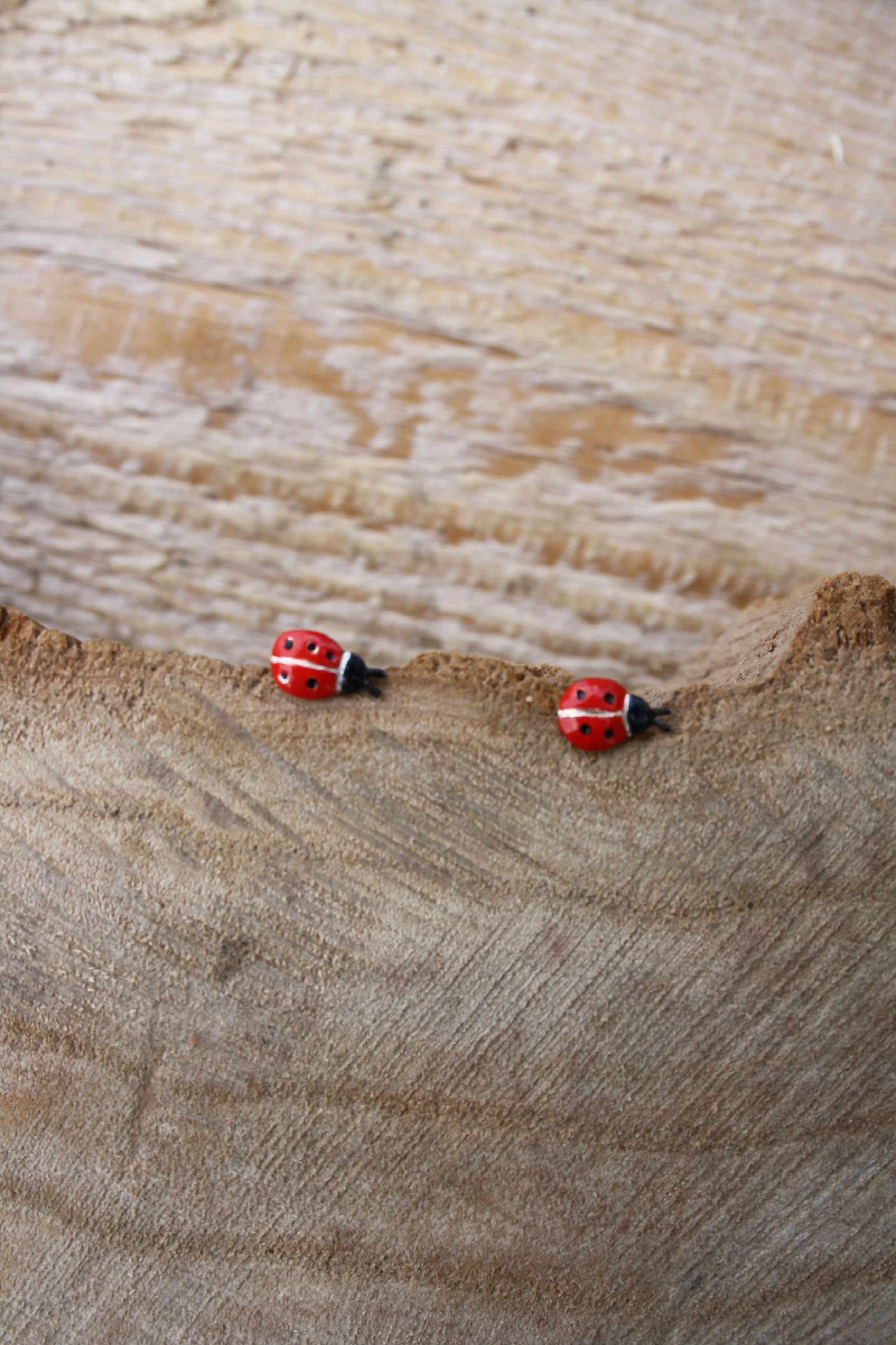 Ladybird Studs