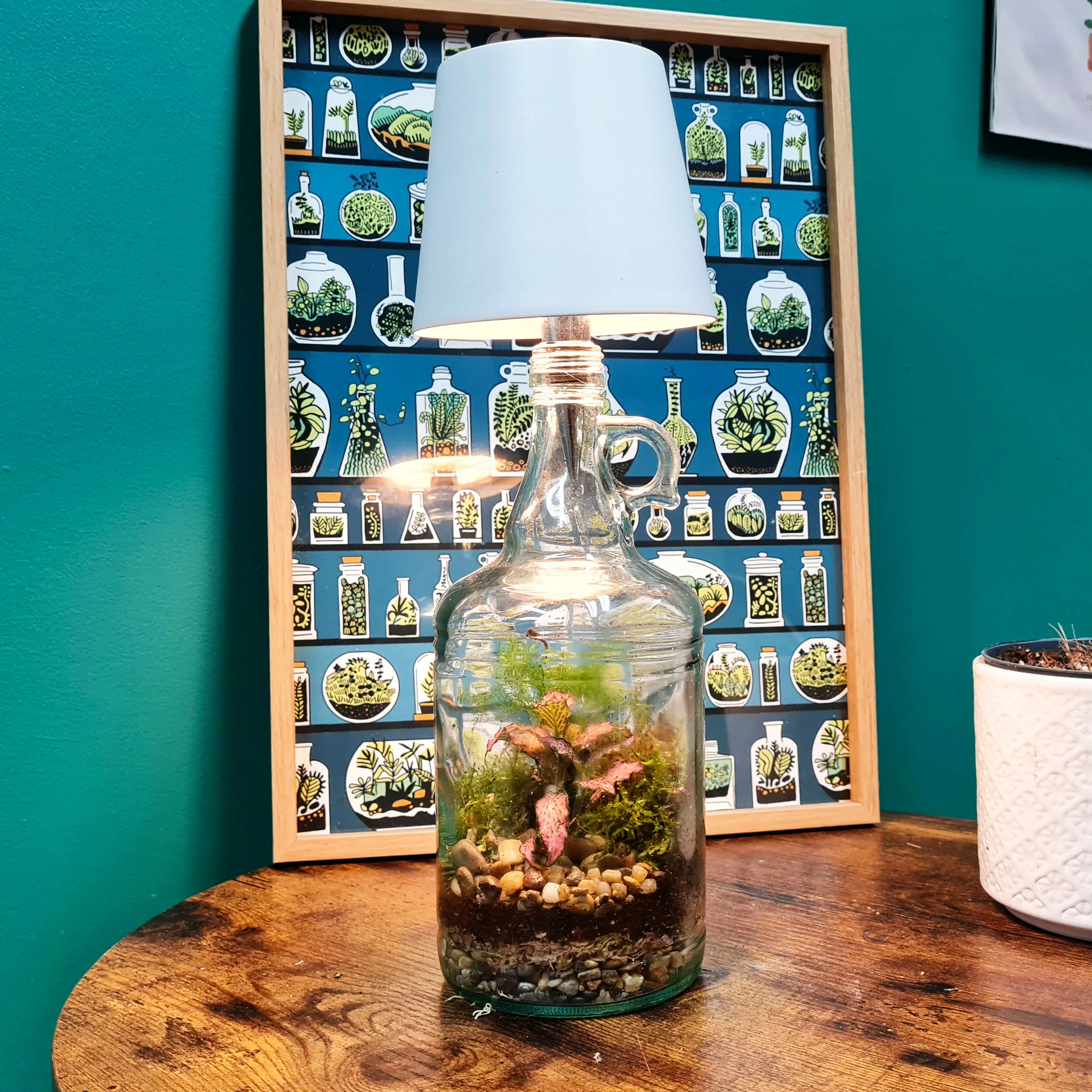 Lamp Demijohn Terrarium - Image 2