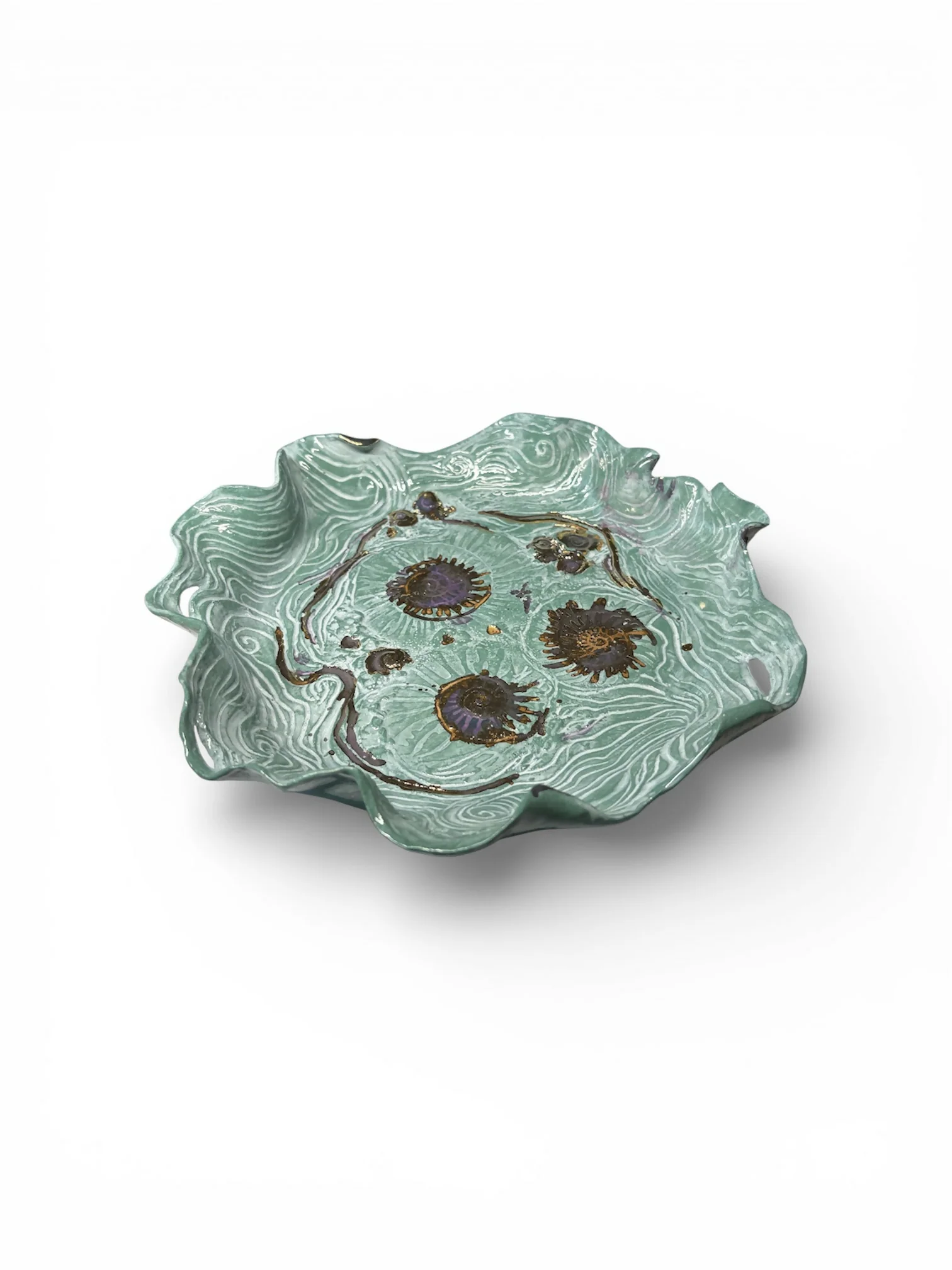 Large Fossil and Wave Dish