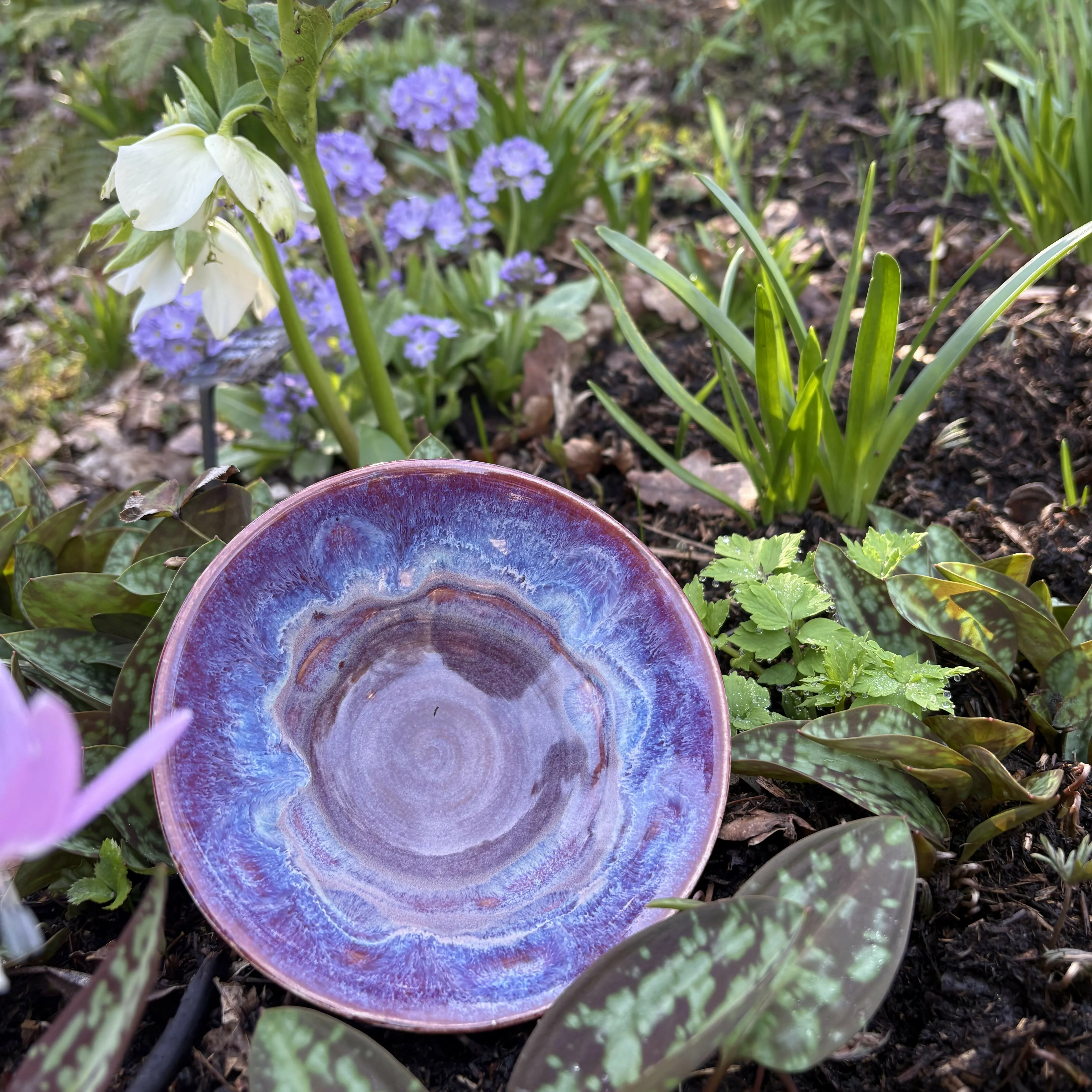 Magenta Bowl