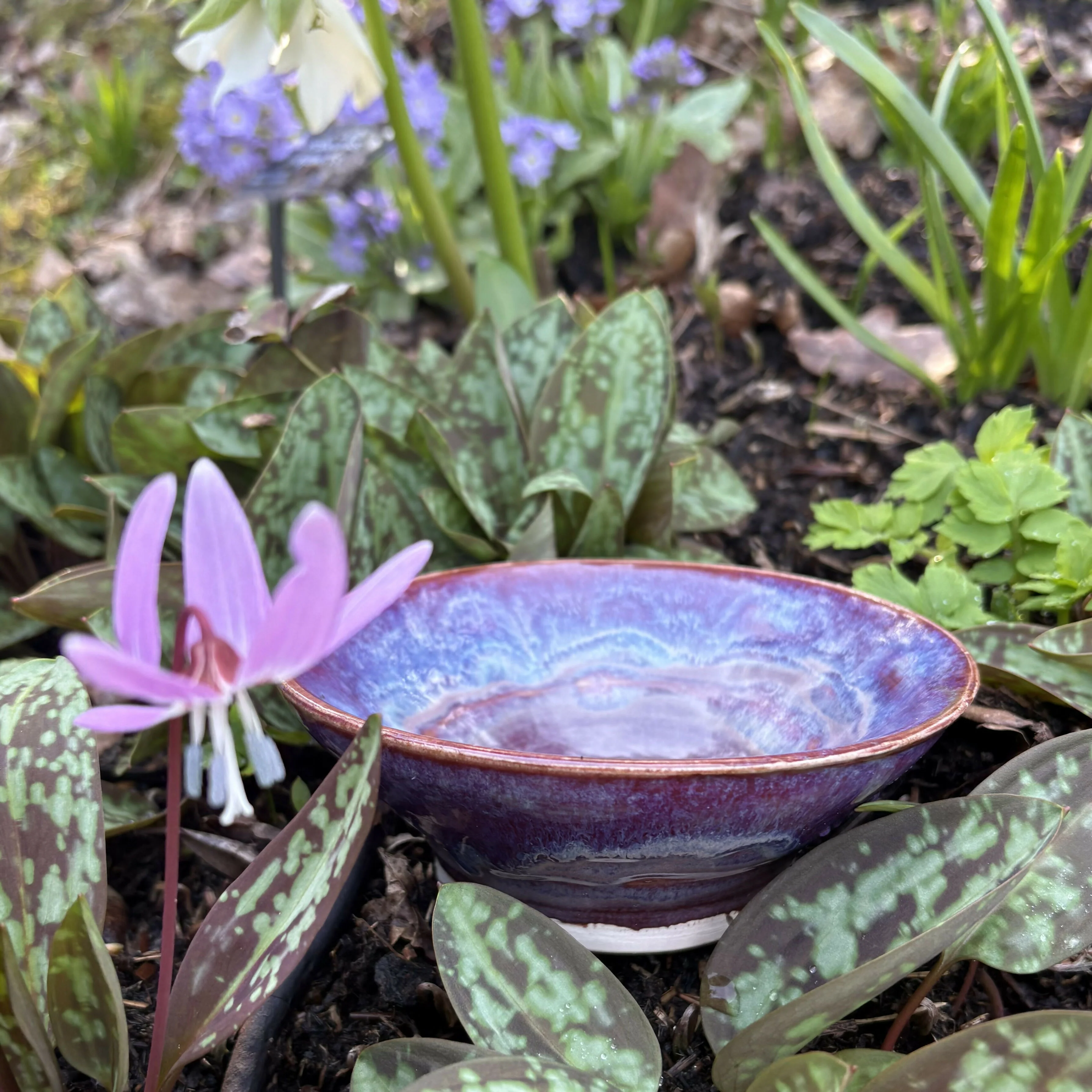 Magenta Bowl - Image 4