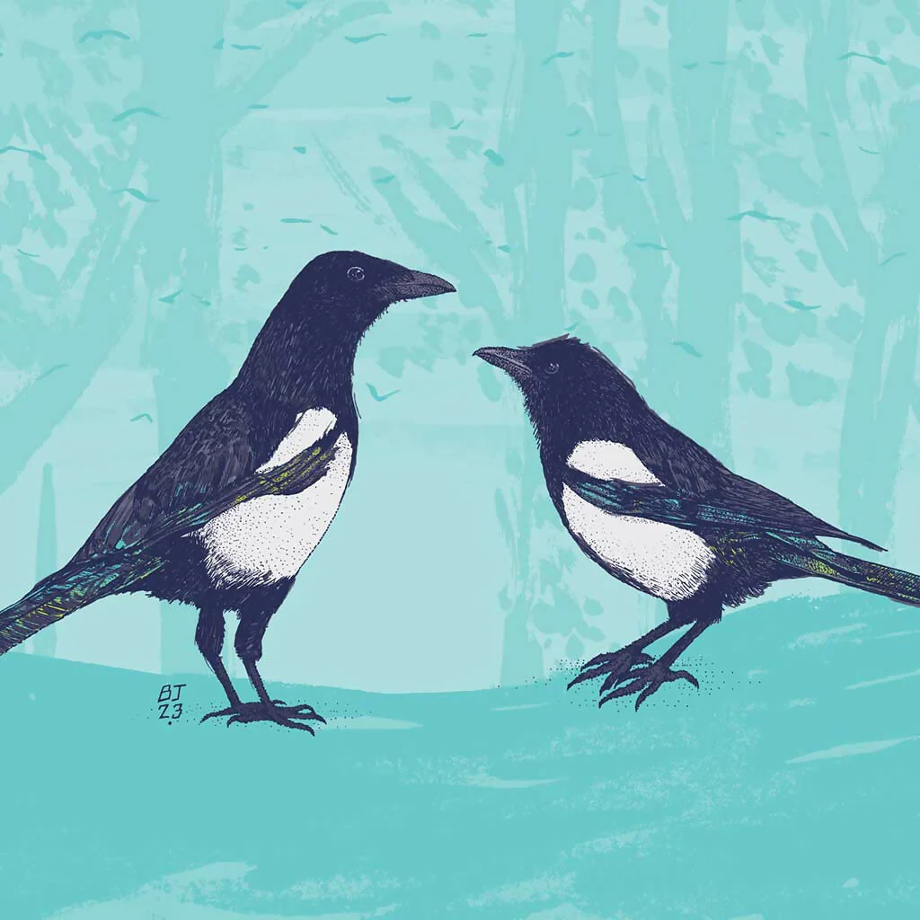 Magpies - Two for Joy Art Print - Image 3
