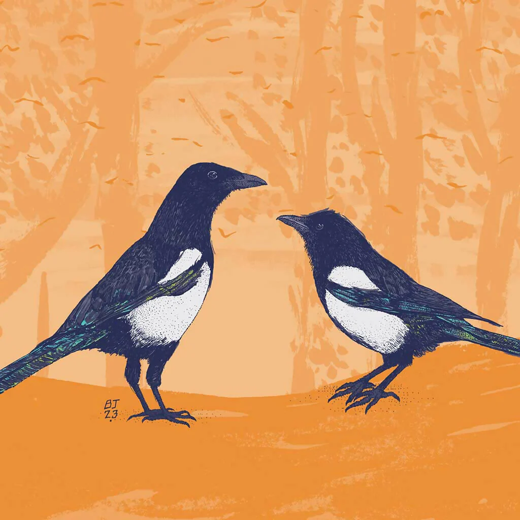 Magpies - Two for Joy Art Print - Image 5