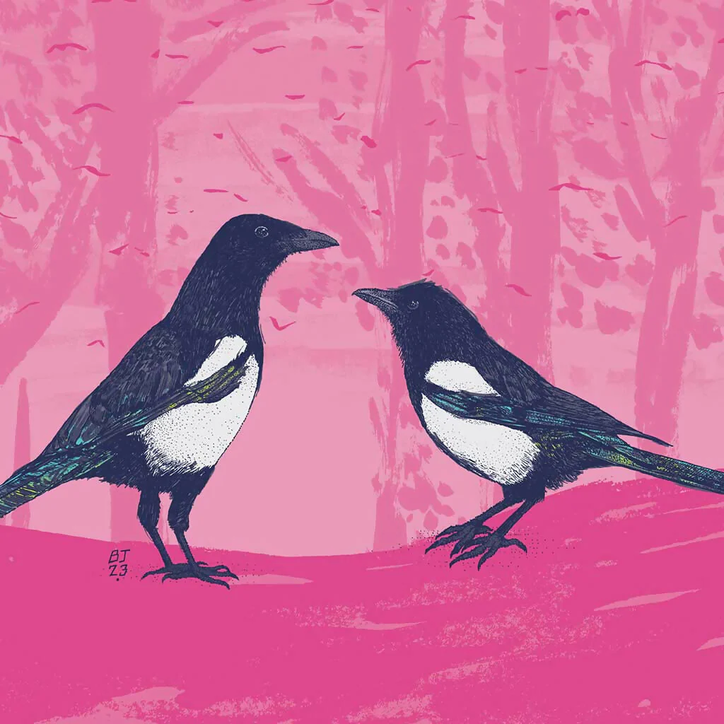 Magpies - Two for Joy Art Print - Image 6