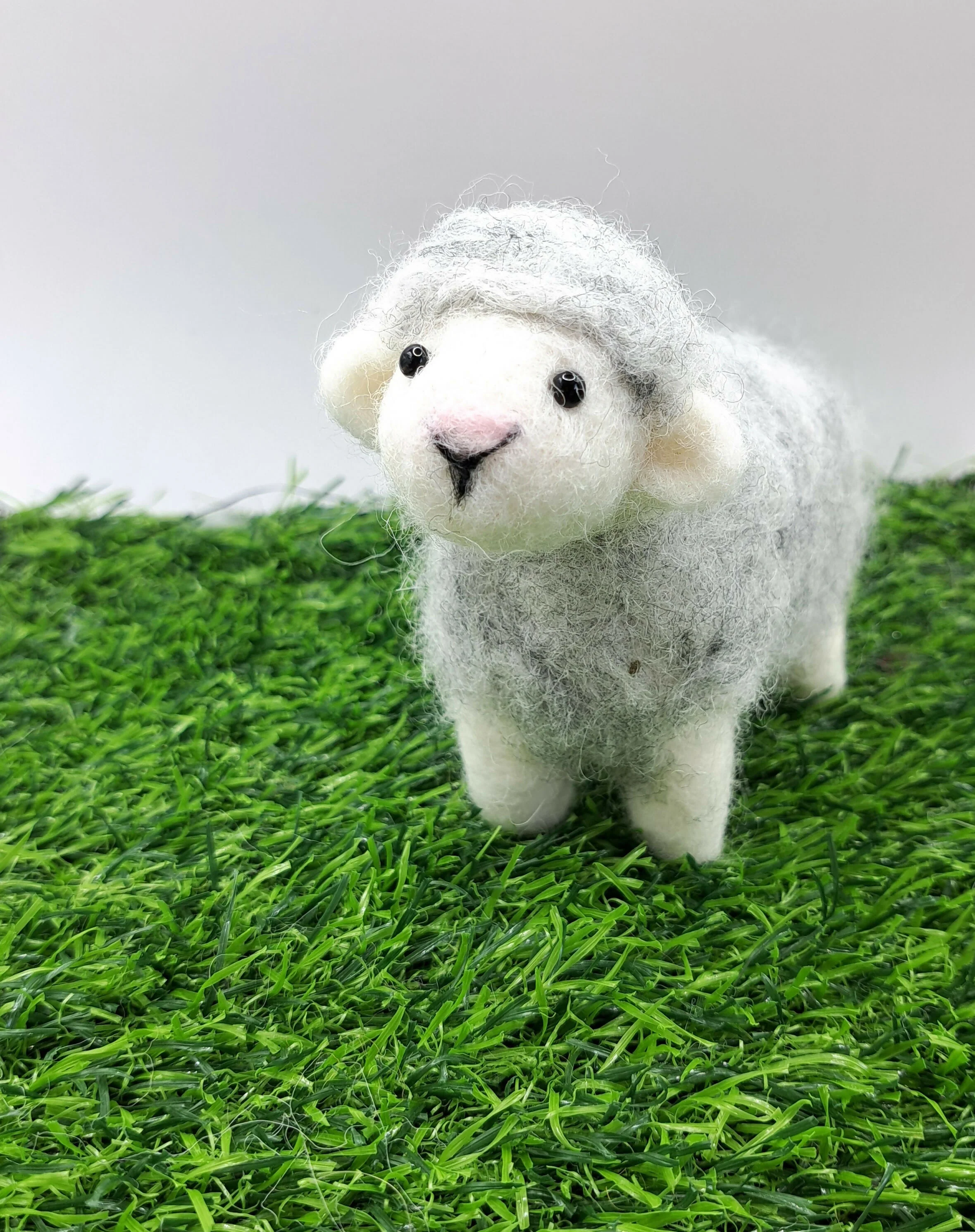 Mary, The Herdwick Sheep.