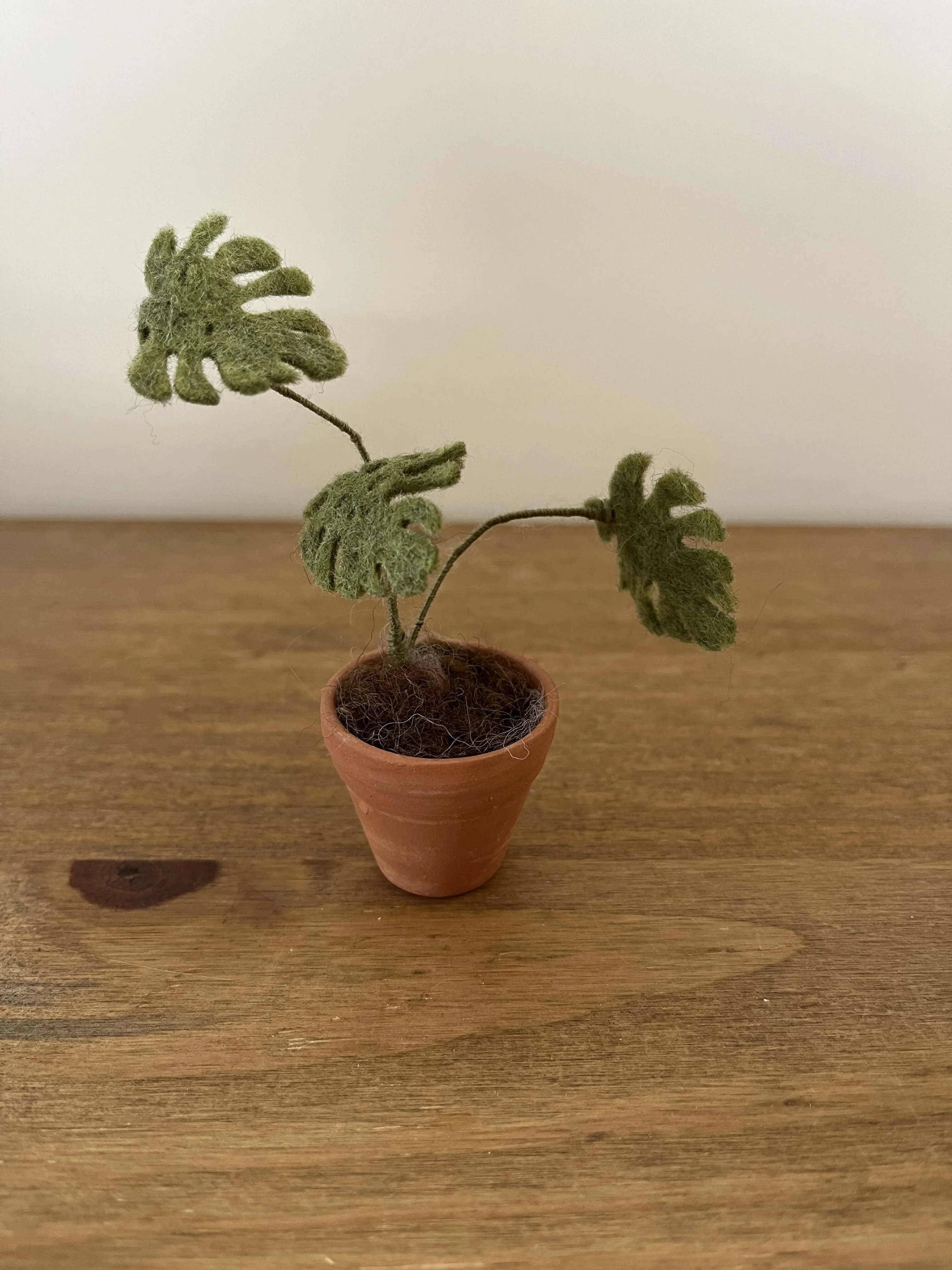 Micro Crochet Plant
