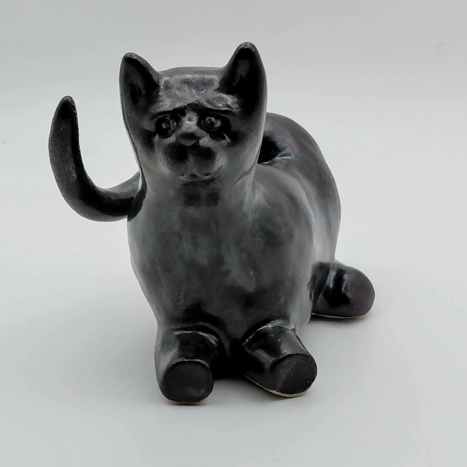 Midnight Cat