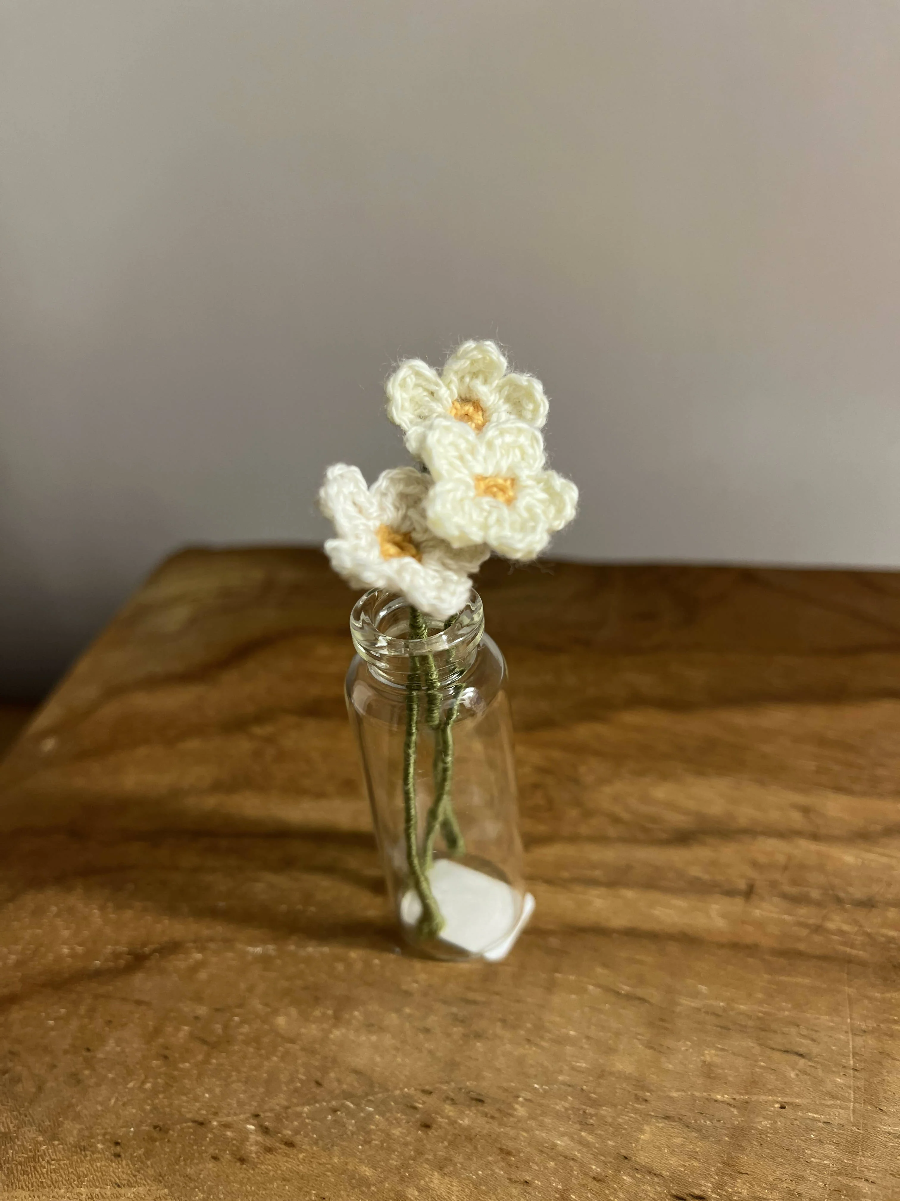 Miniature Crochet Daisy Flower Vase