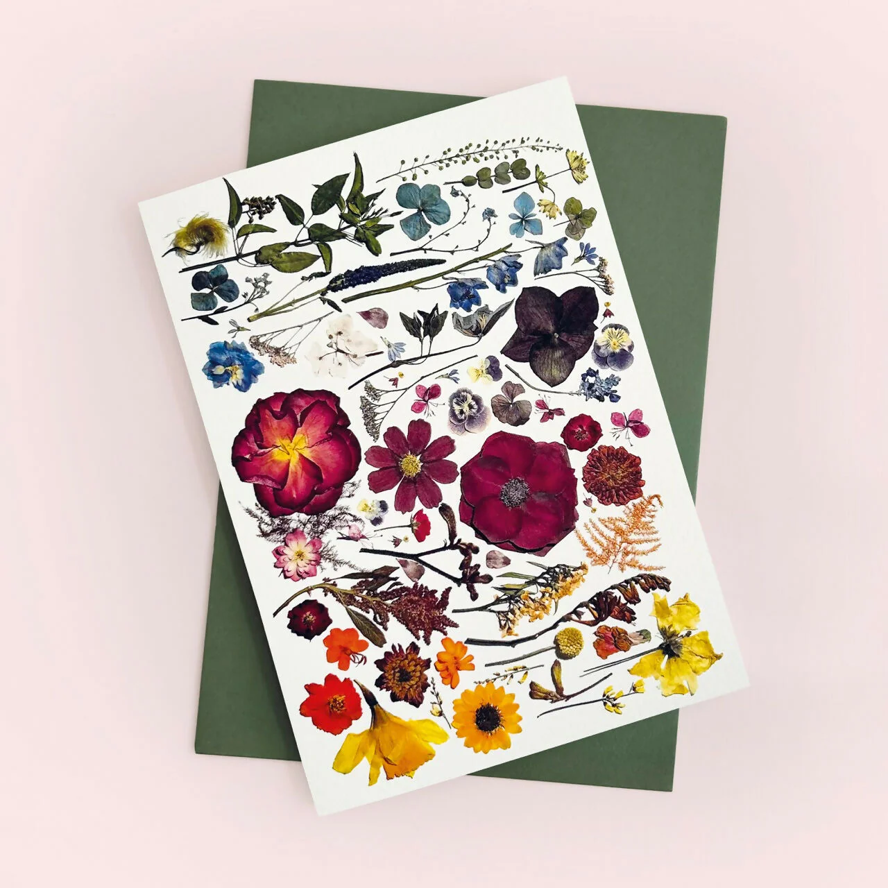 Multicoloured Pressed Flower Print Card - Image 2