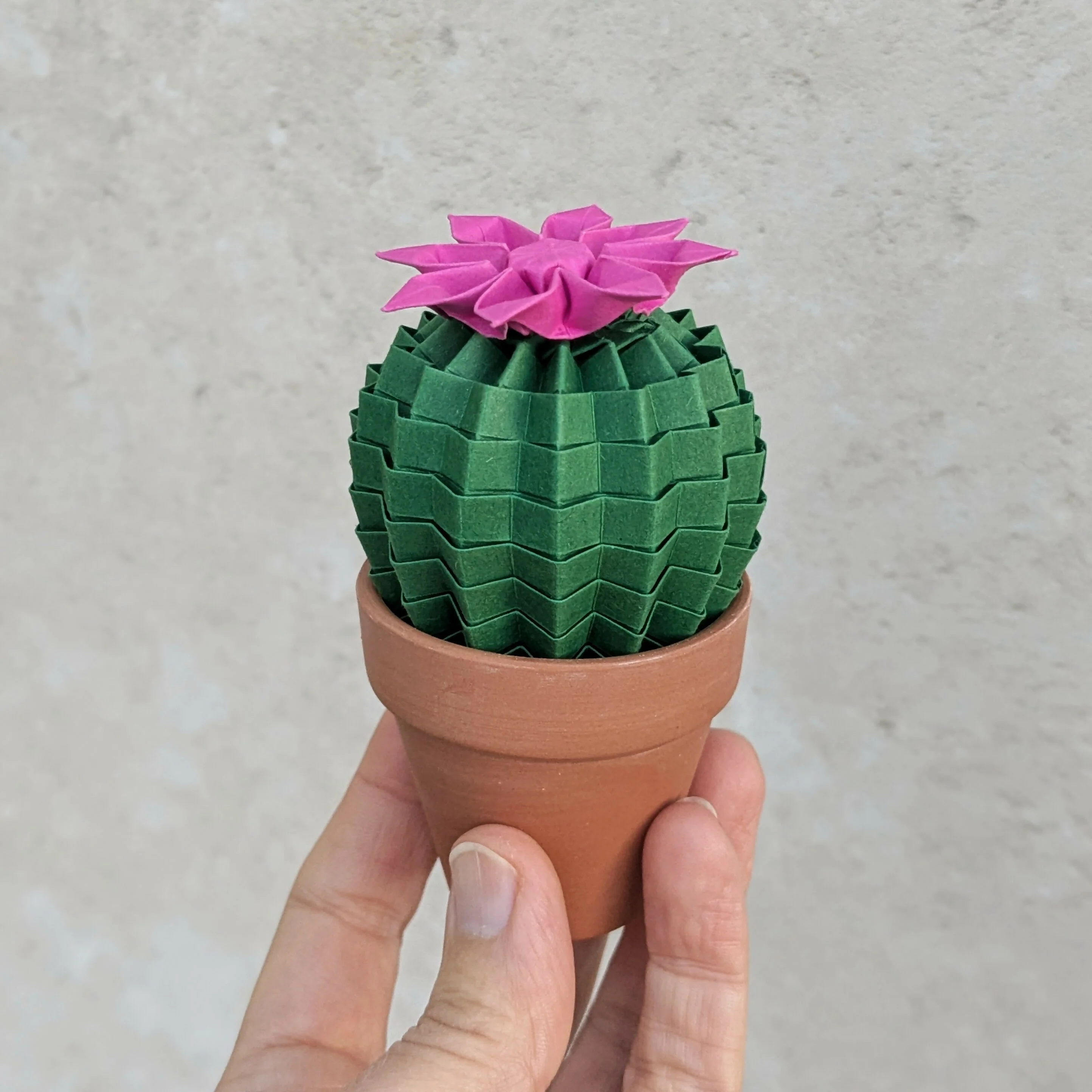 Origami Paper Cactus in Terracotta Pot - Image 10