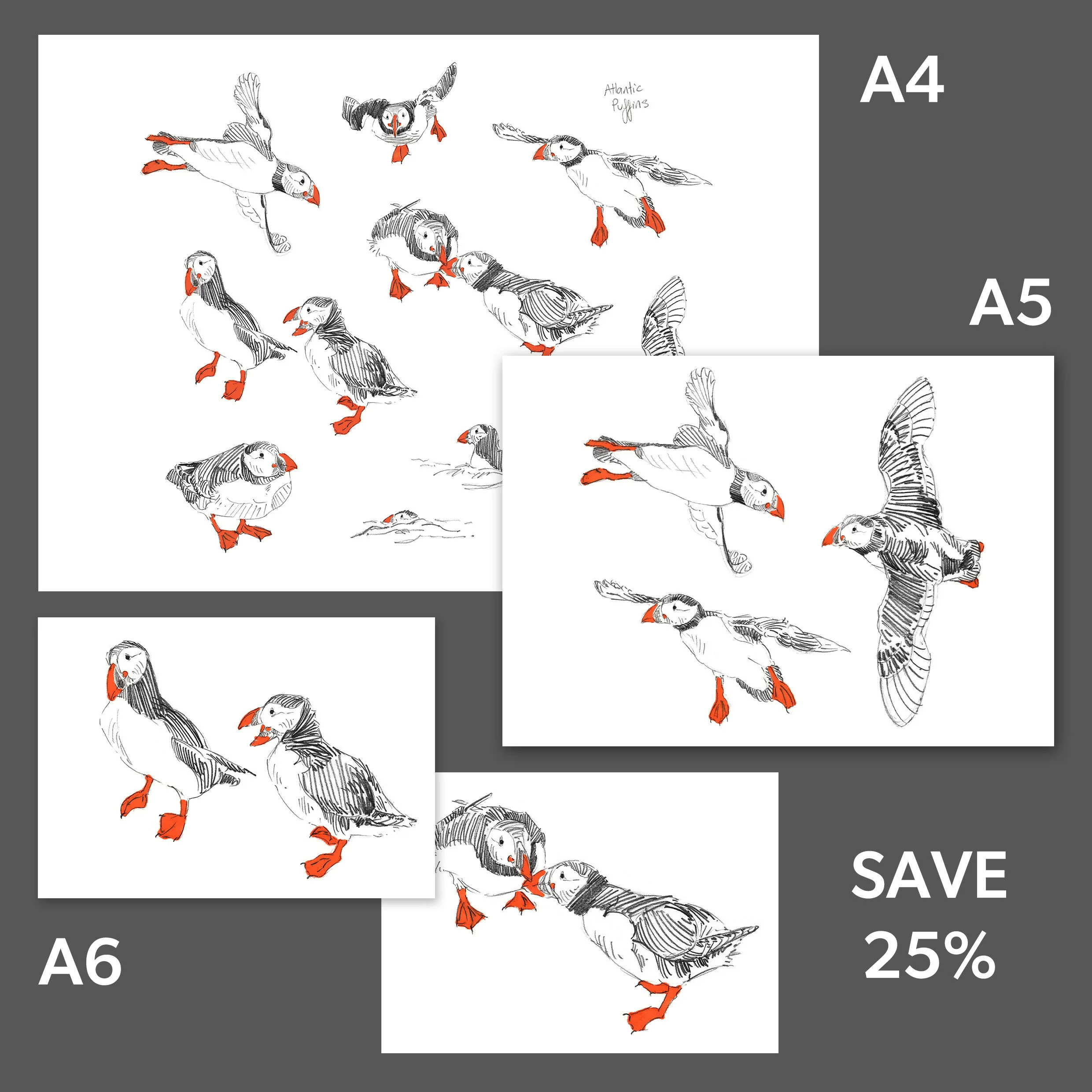 Pack of Puffin Prints - A4, A5, two A6