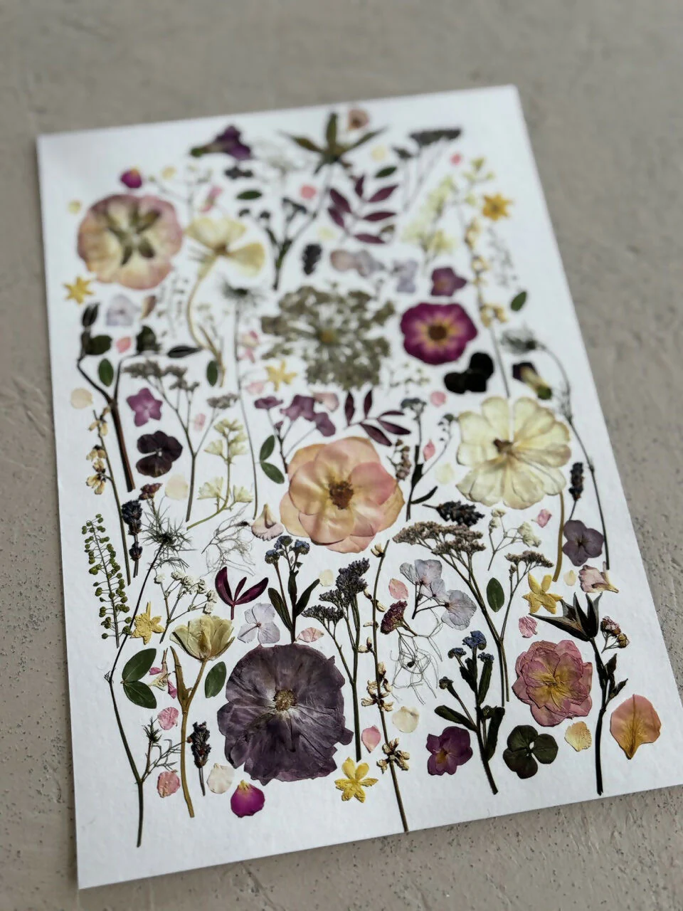 Pink & Purple Giclee Print A5 - Image 3