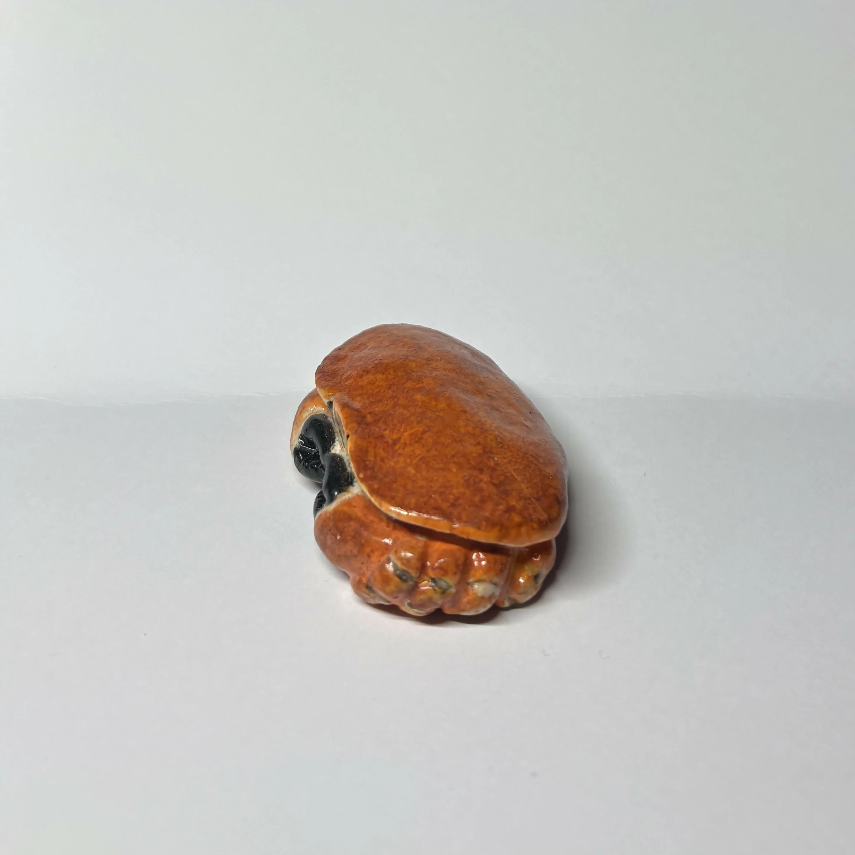 Porcelain Edible Crab - Image 2