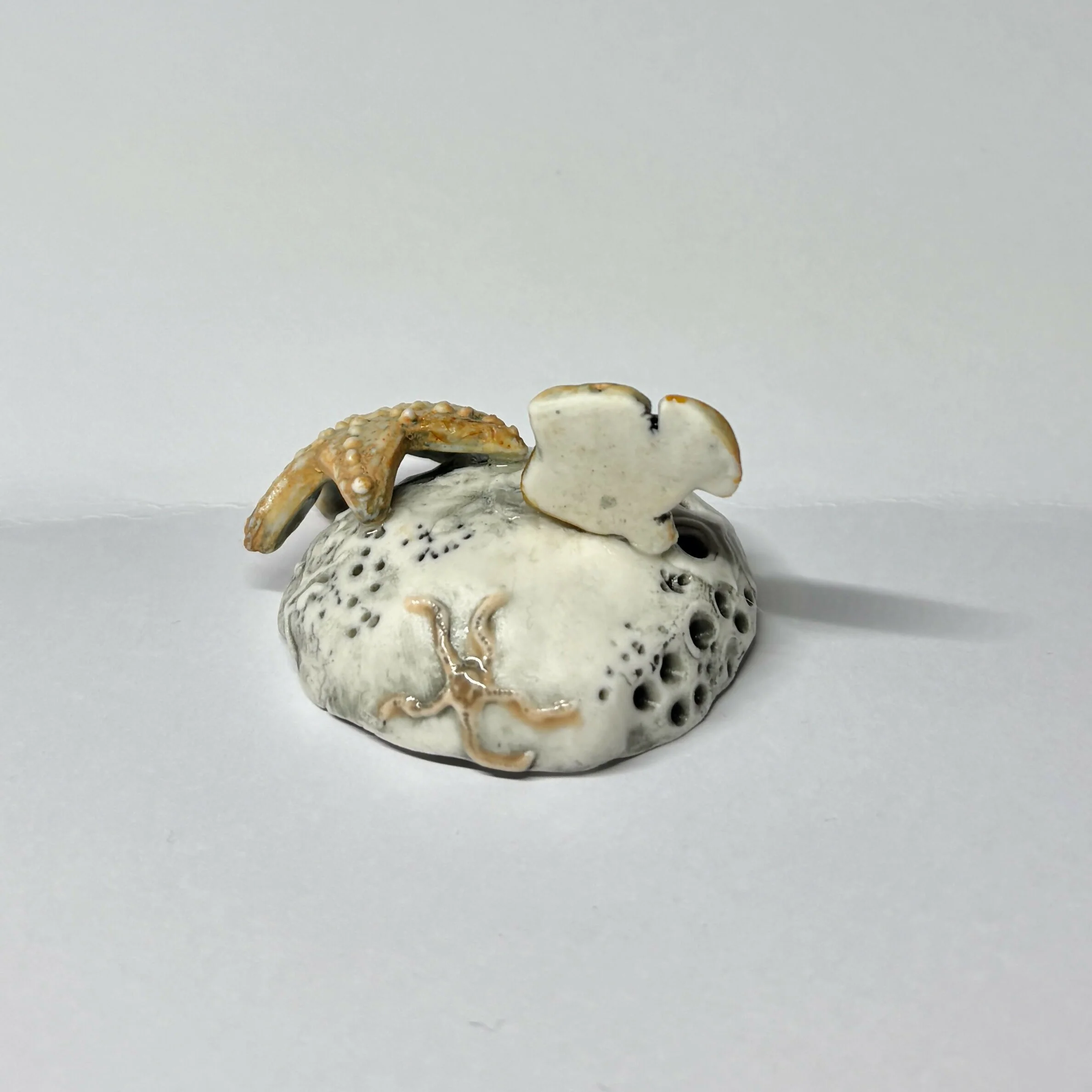 Porcelain Fish and Starfish Sculpture - Image 3
