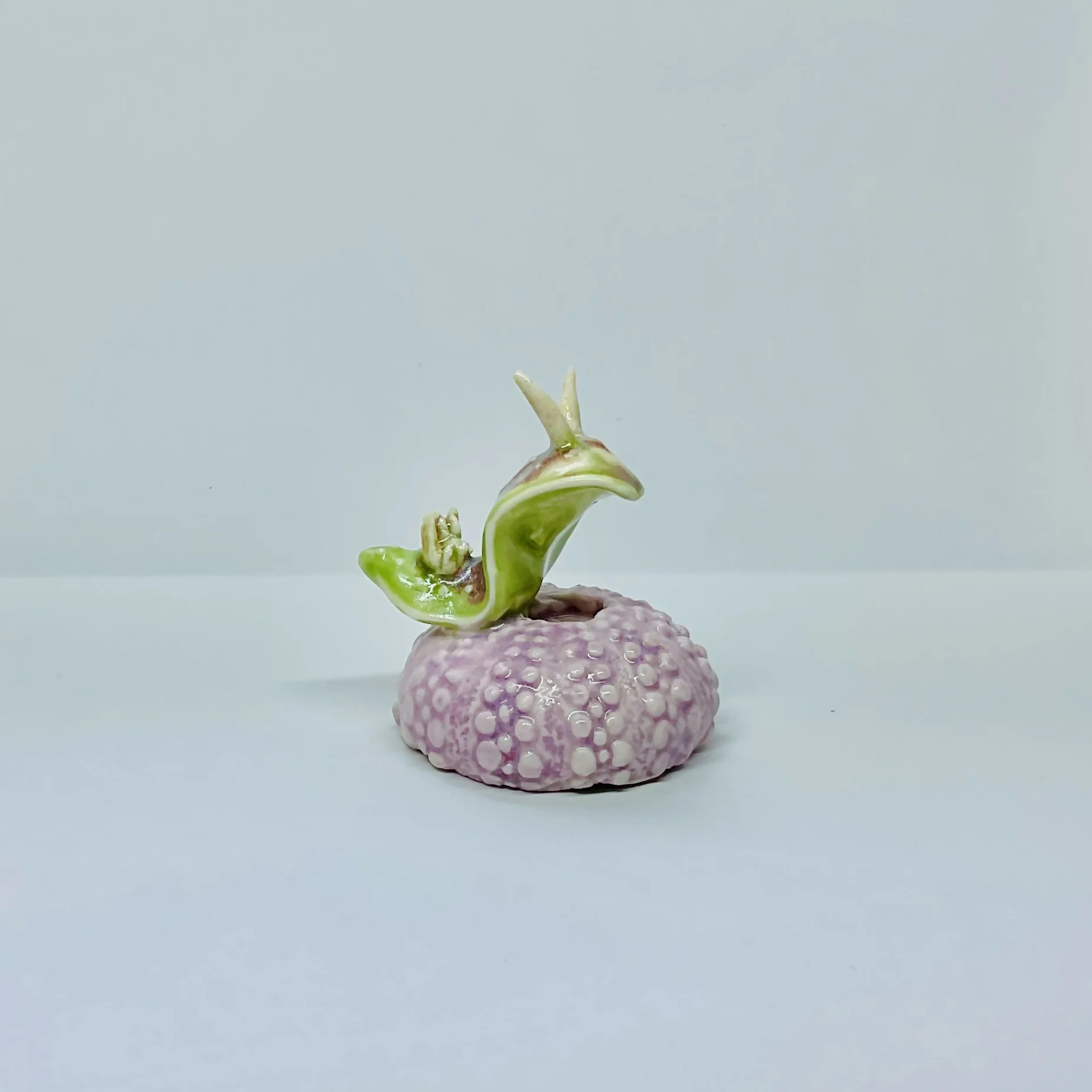 Porcelain Pink Sea Urchin with Sea Slug - Image 2
