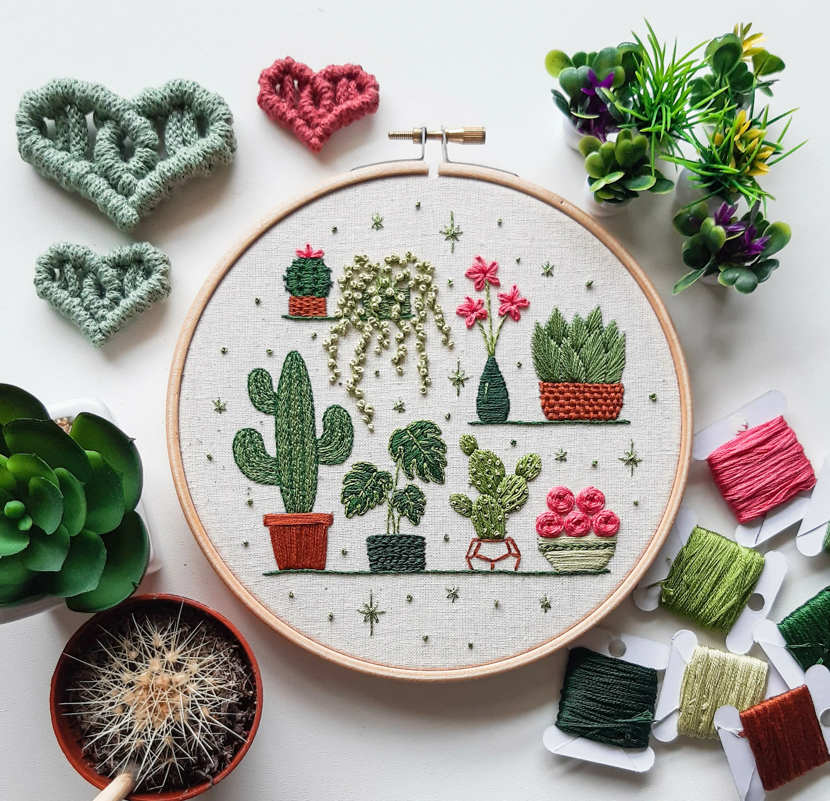 Preprinted Embroidery Pattern For Beginners - Potted Plants - Image 3