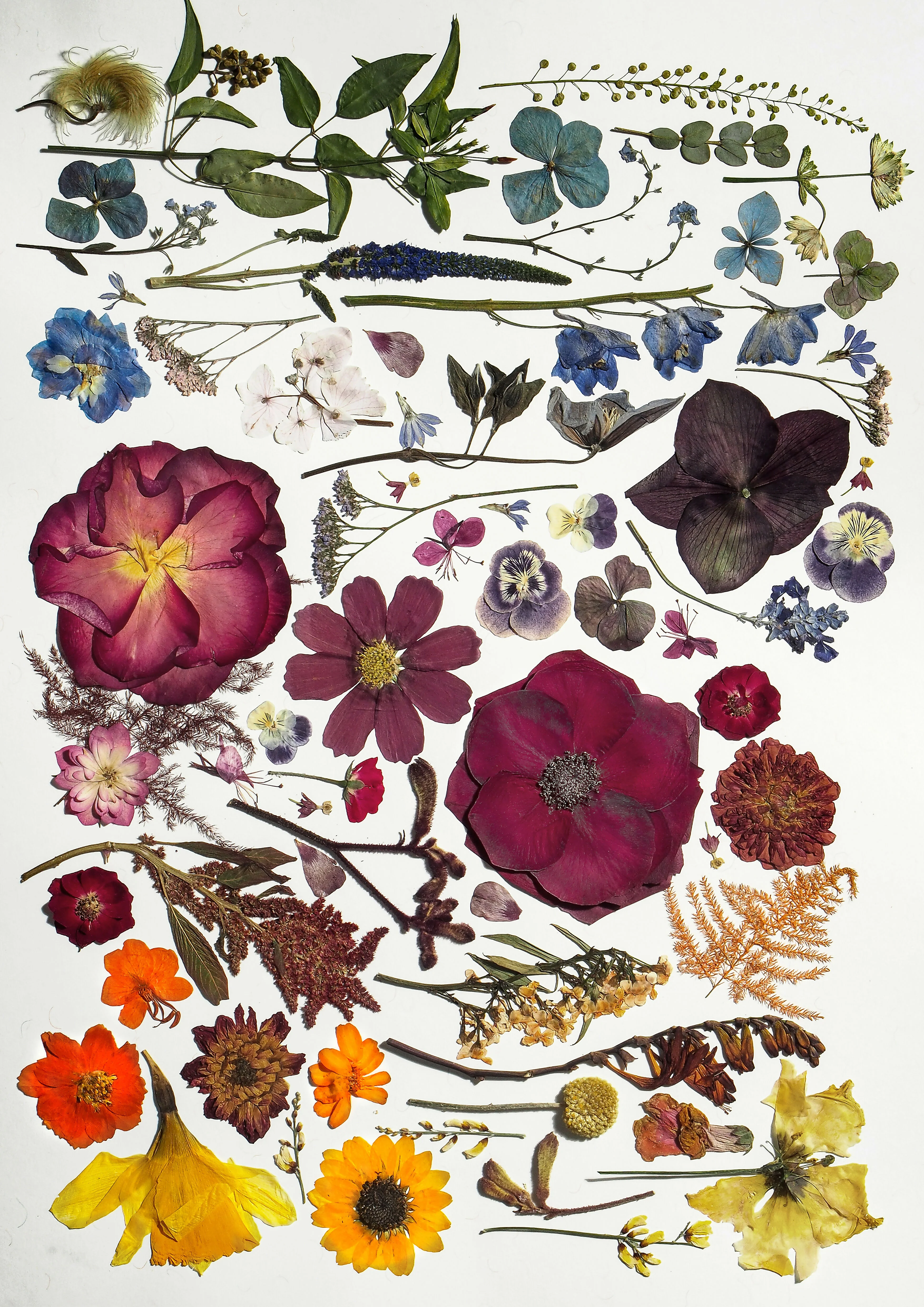 Pressed Flower Tea Towel - Image 11