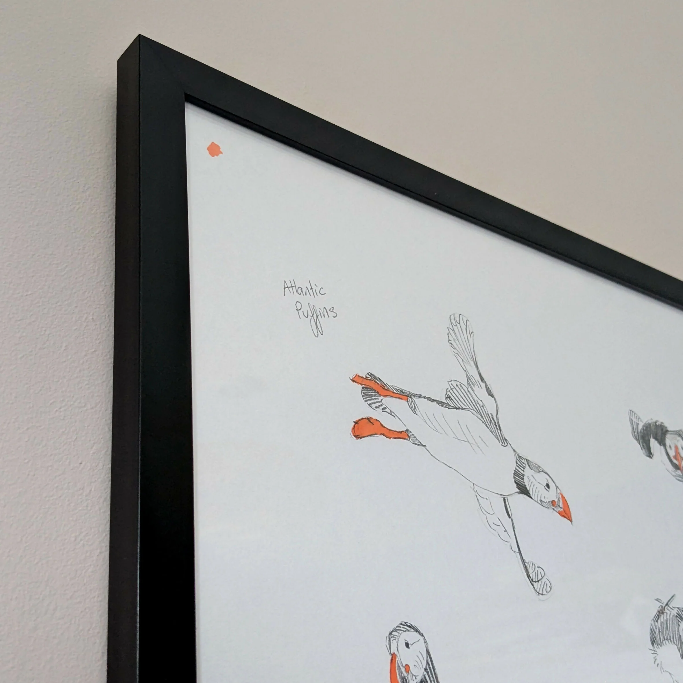 Puffin Sketches - A3 Original Framed - Image 4