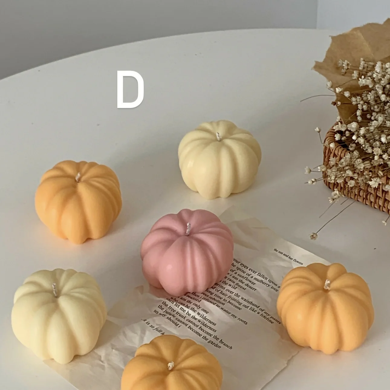 Pumpkin - Image 5