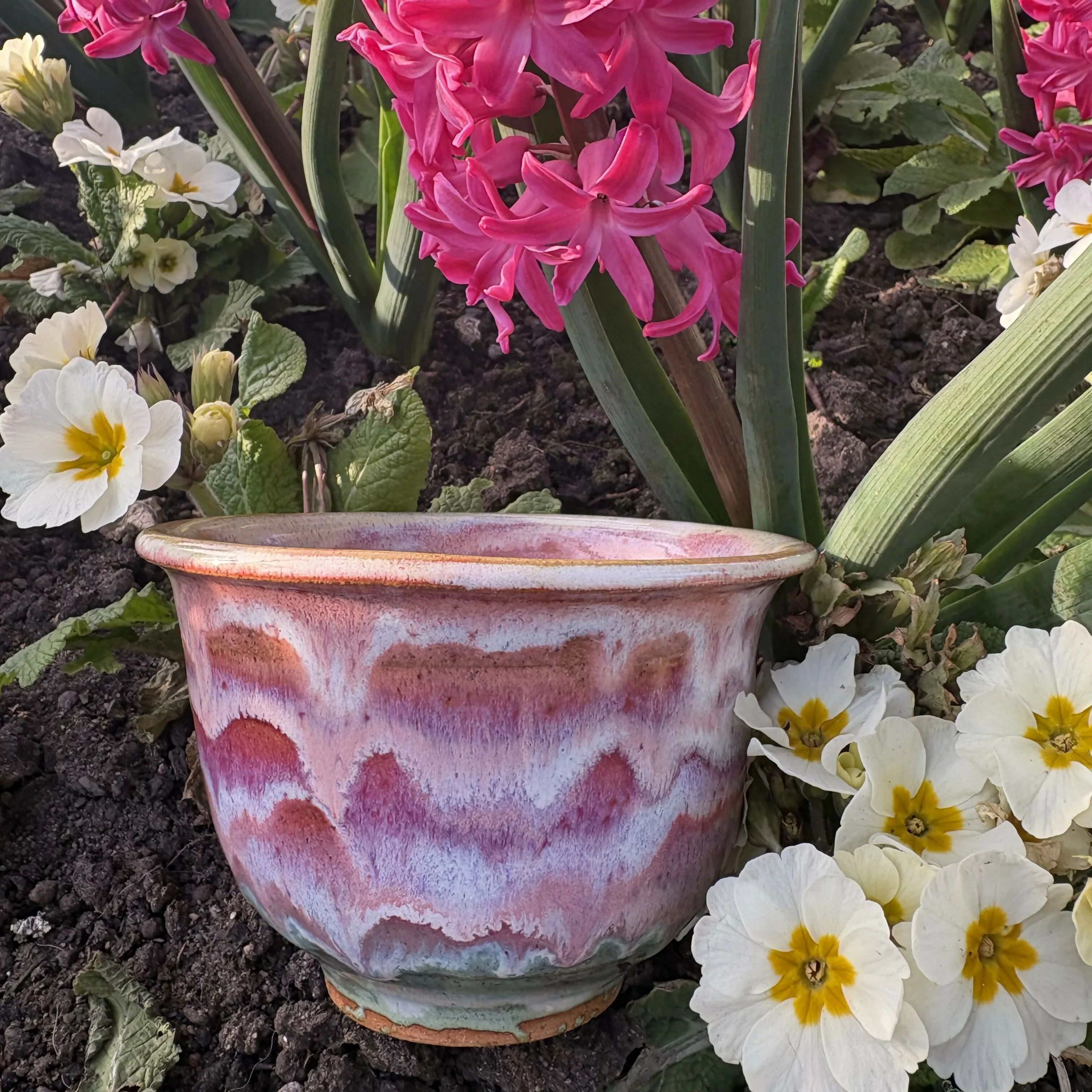Rainbow Bowl
