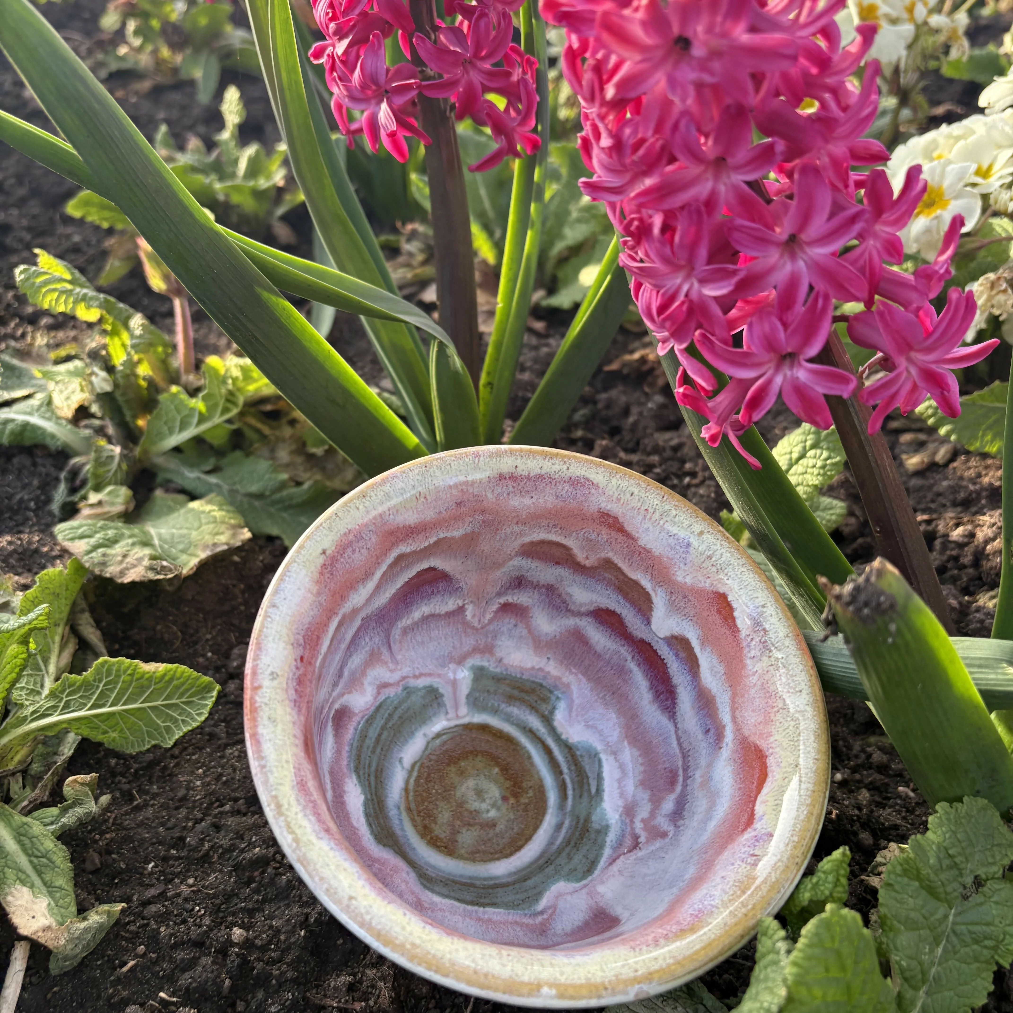 Rainbow Bowl - Image 2