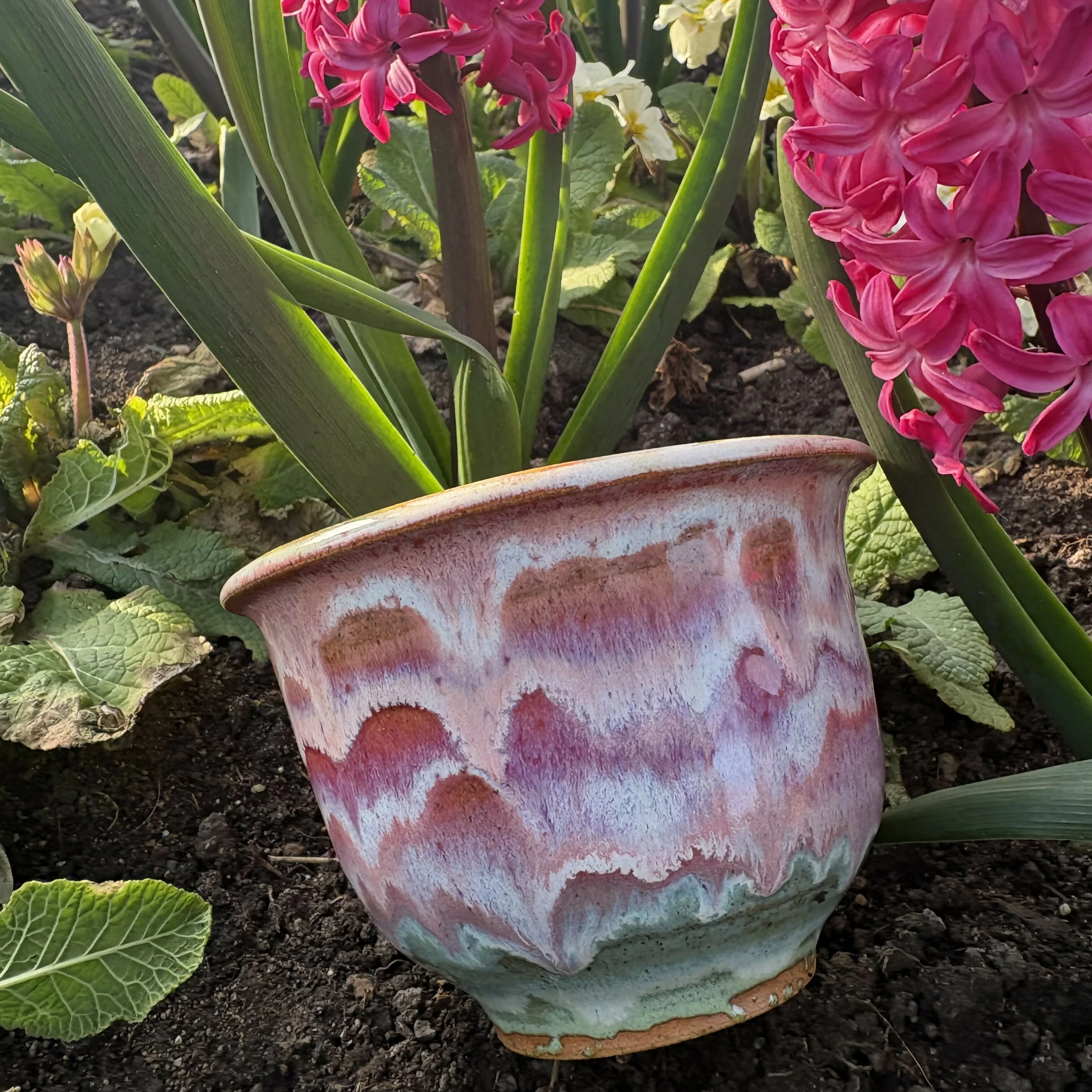 Rainbow Bowl - Image 5