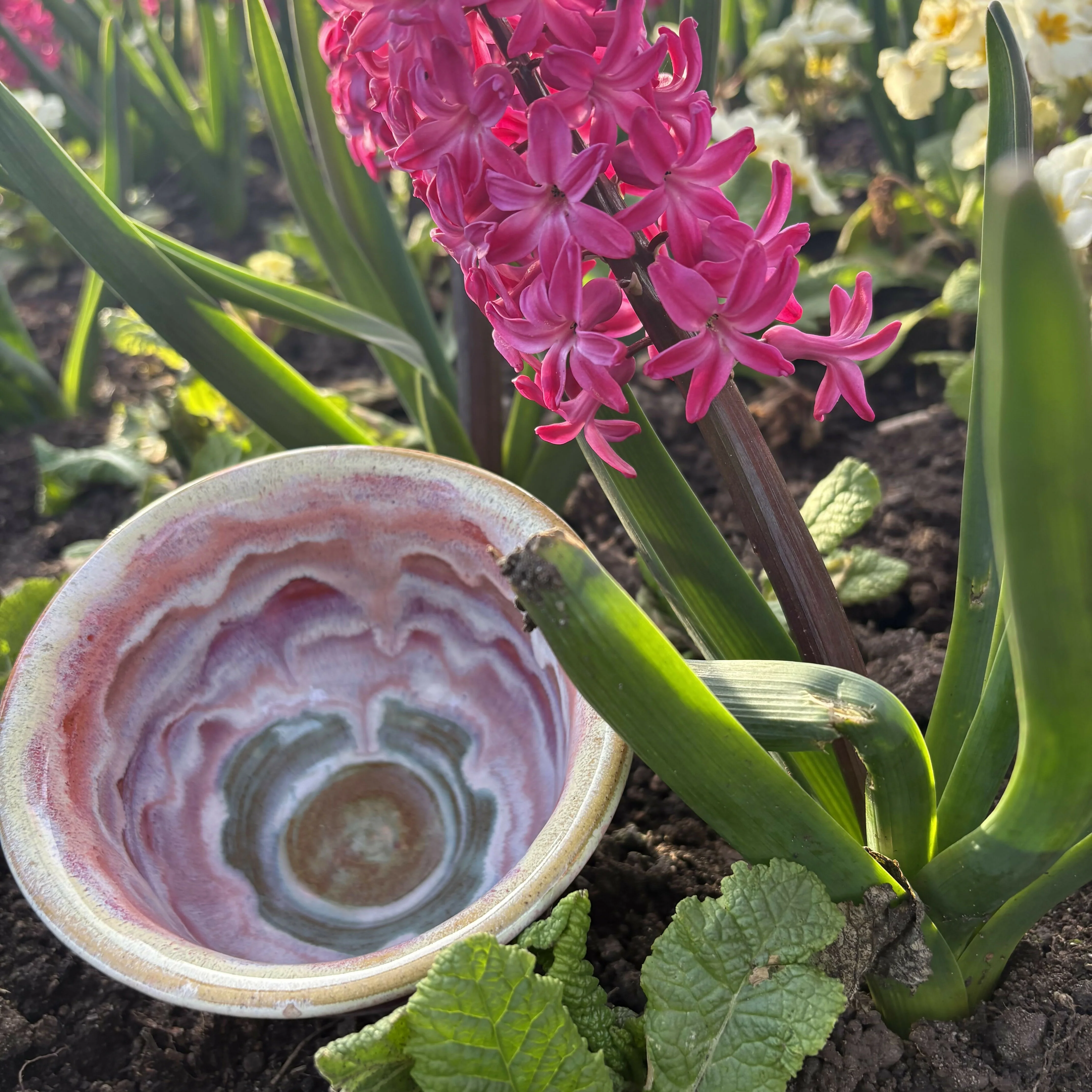 Rainbow Bowl - Image 6