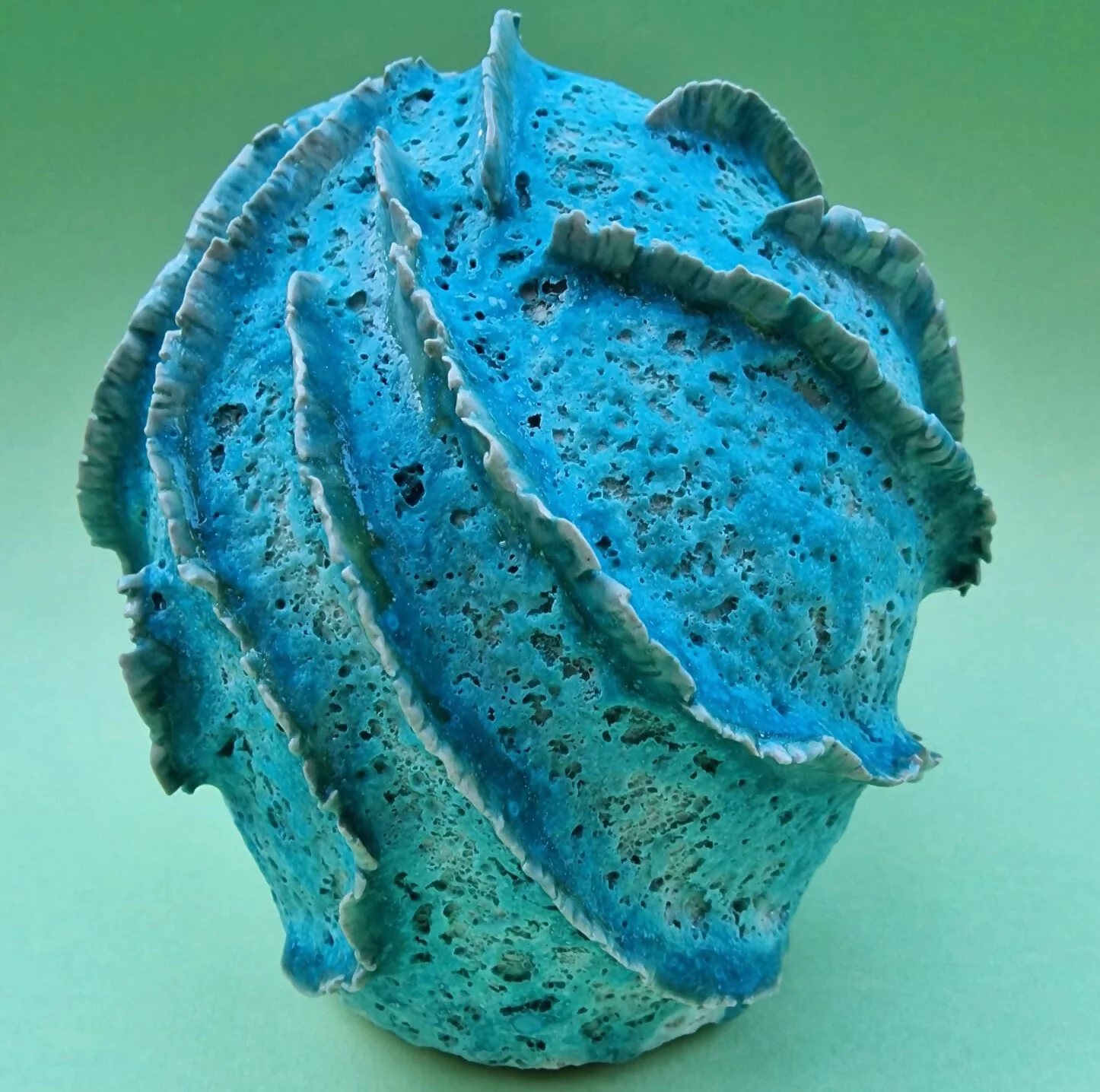 RIBBED CORAL 1