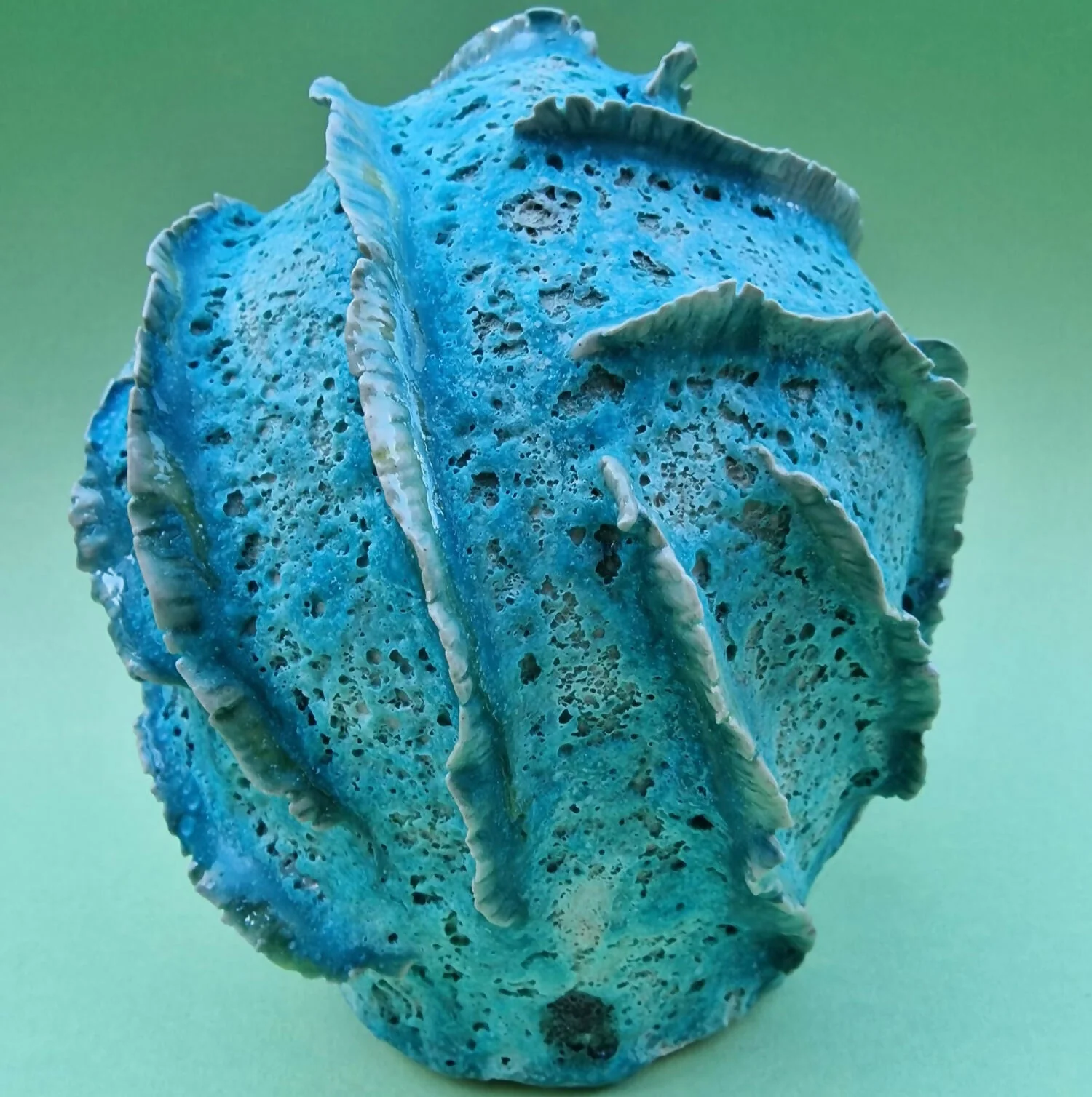 RIBBED CORAL 1 - Image 2
