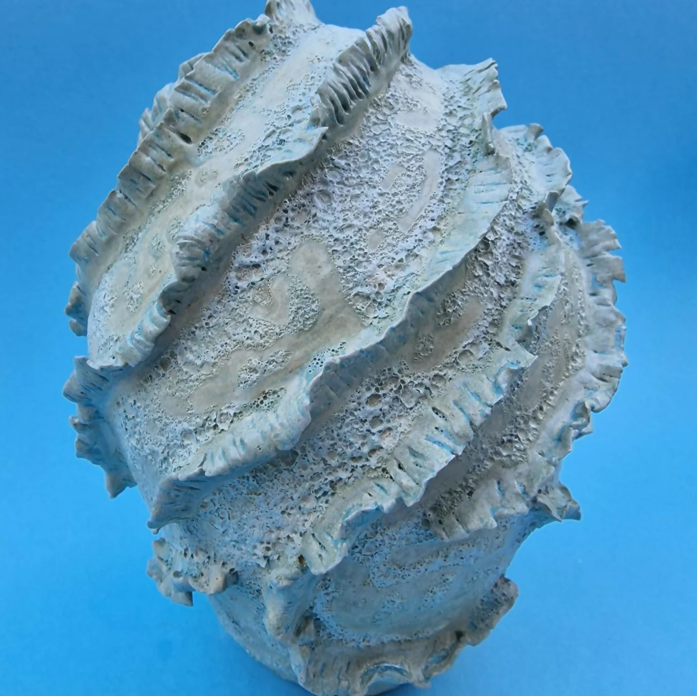 RIBBED CORAL 3