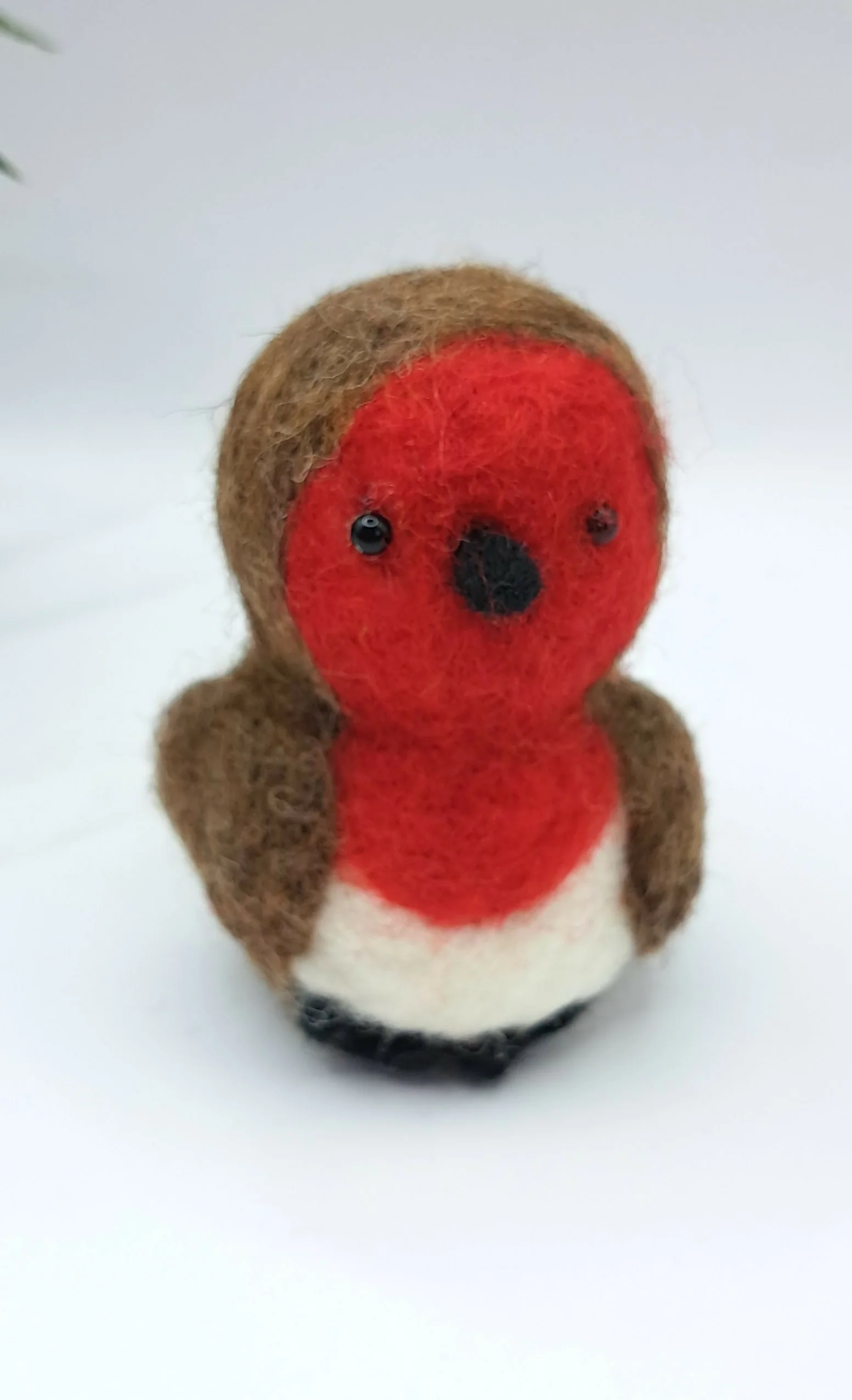 Robbie Robin