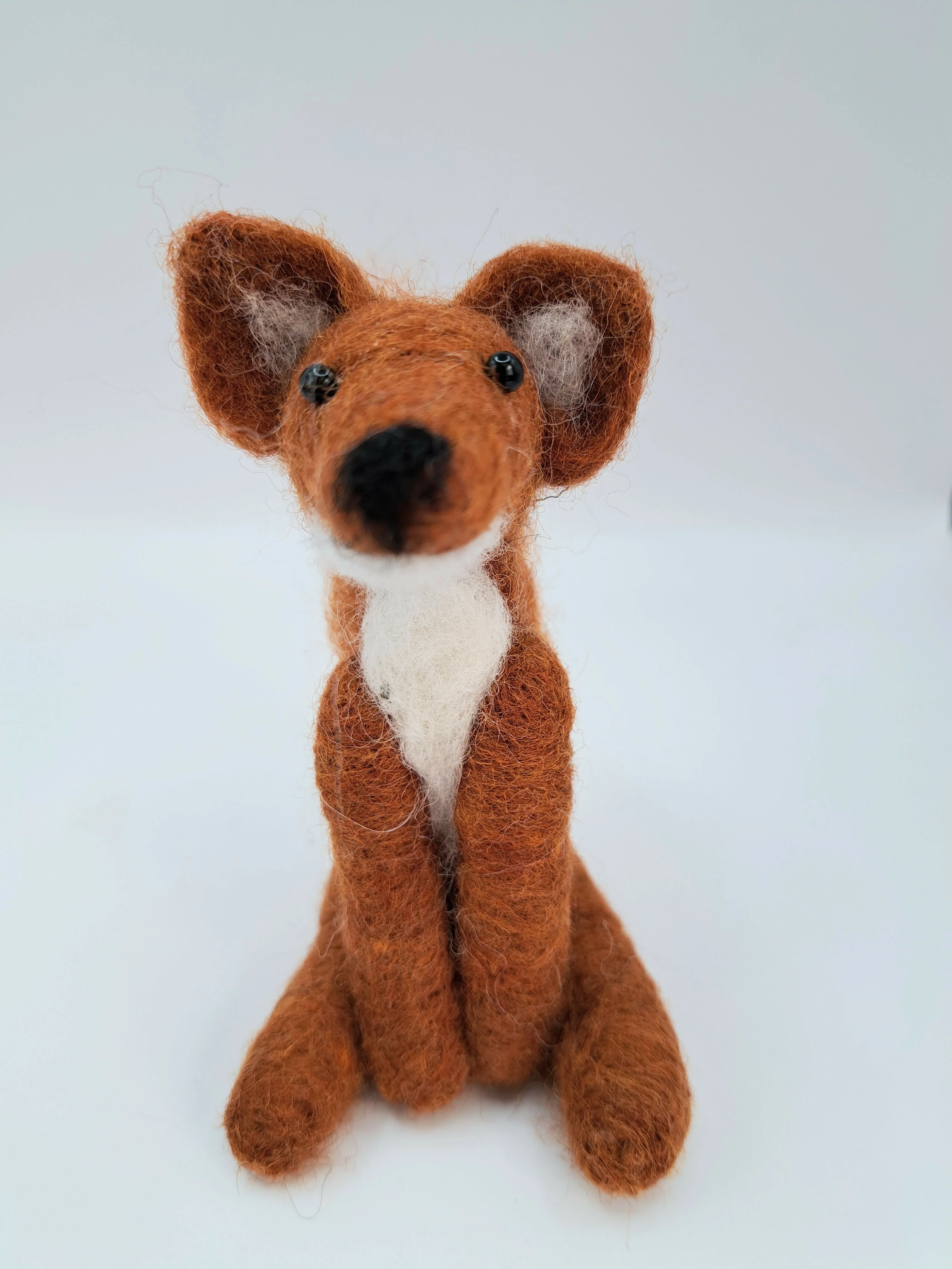 Rusty Fox