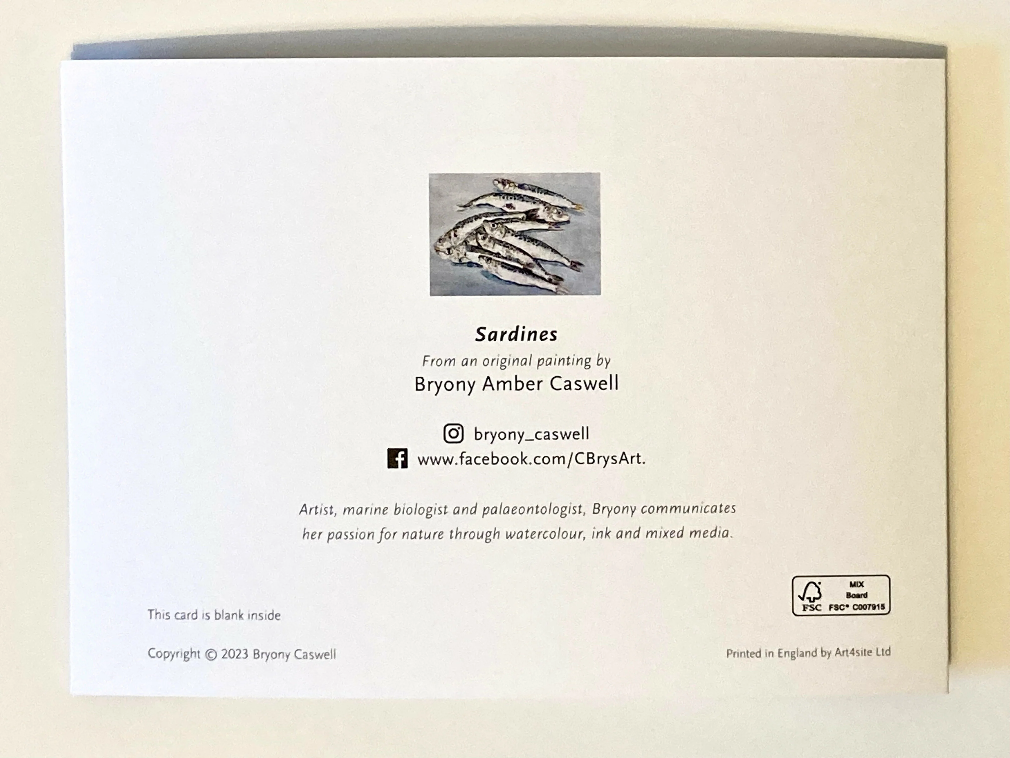 Sardines - Greetings Card - Image 3