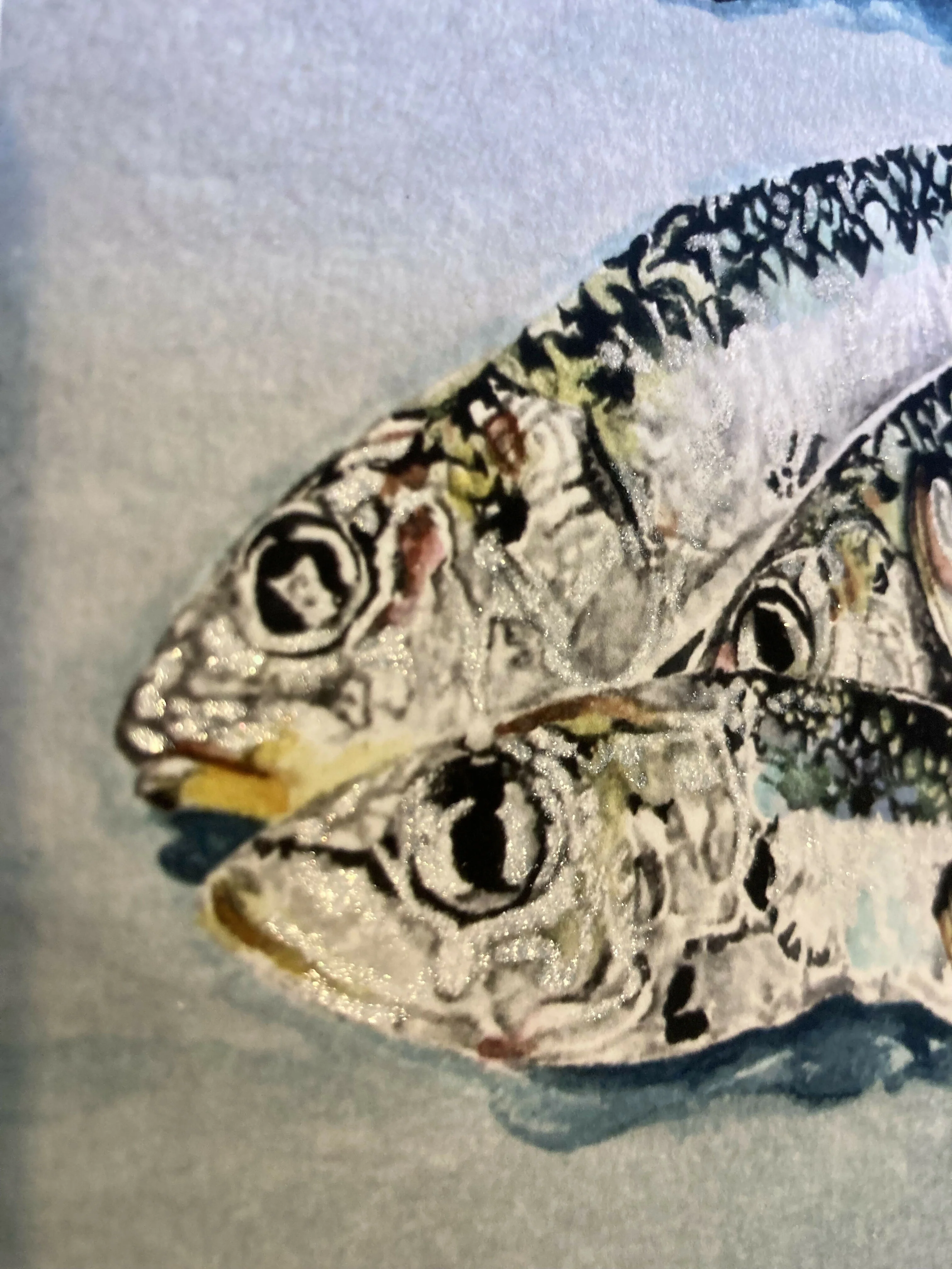 Sardines - Hand Finished Print - Image 6
