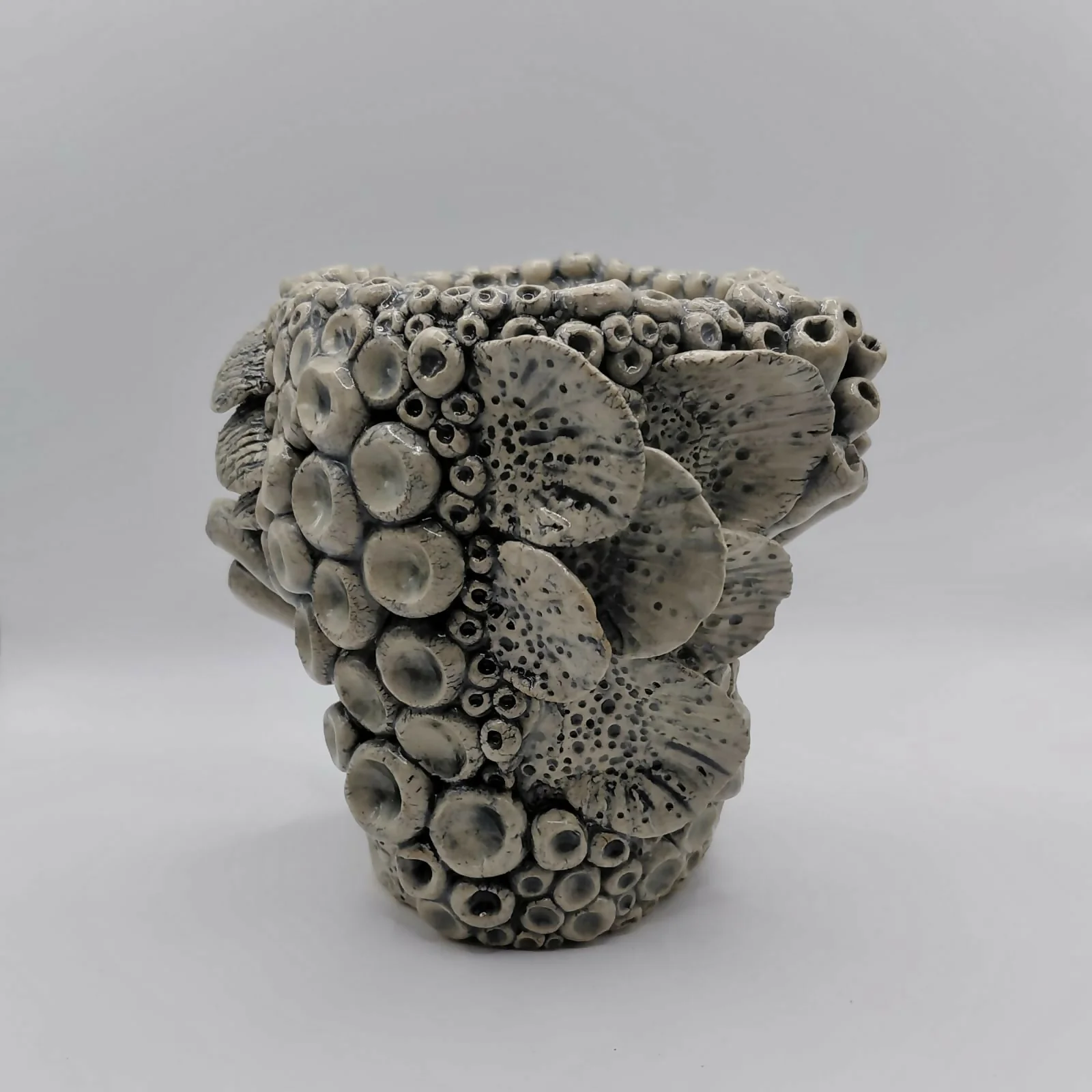 Sea Nook Pot